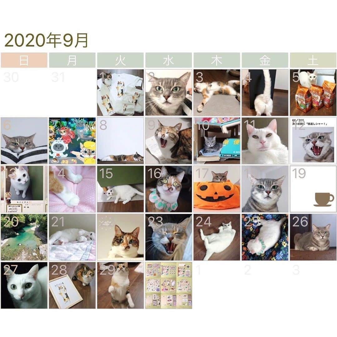 のインスタグラム：「9️⃣🗓🐱🐱🐱❤️🤍🖤 * #2020年9月 #インスタカレンダー #cat #catstagram #catsofinstagram #catoftheday #instacat #vsco #marikill66 #marikill66_2020 #marikill66_09」