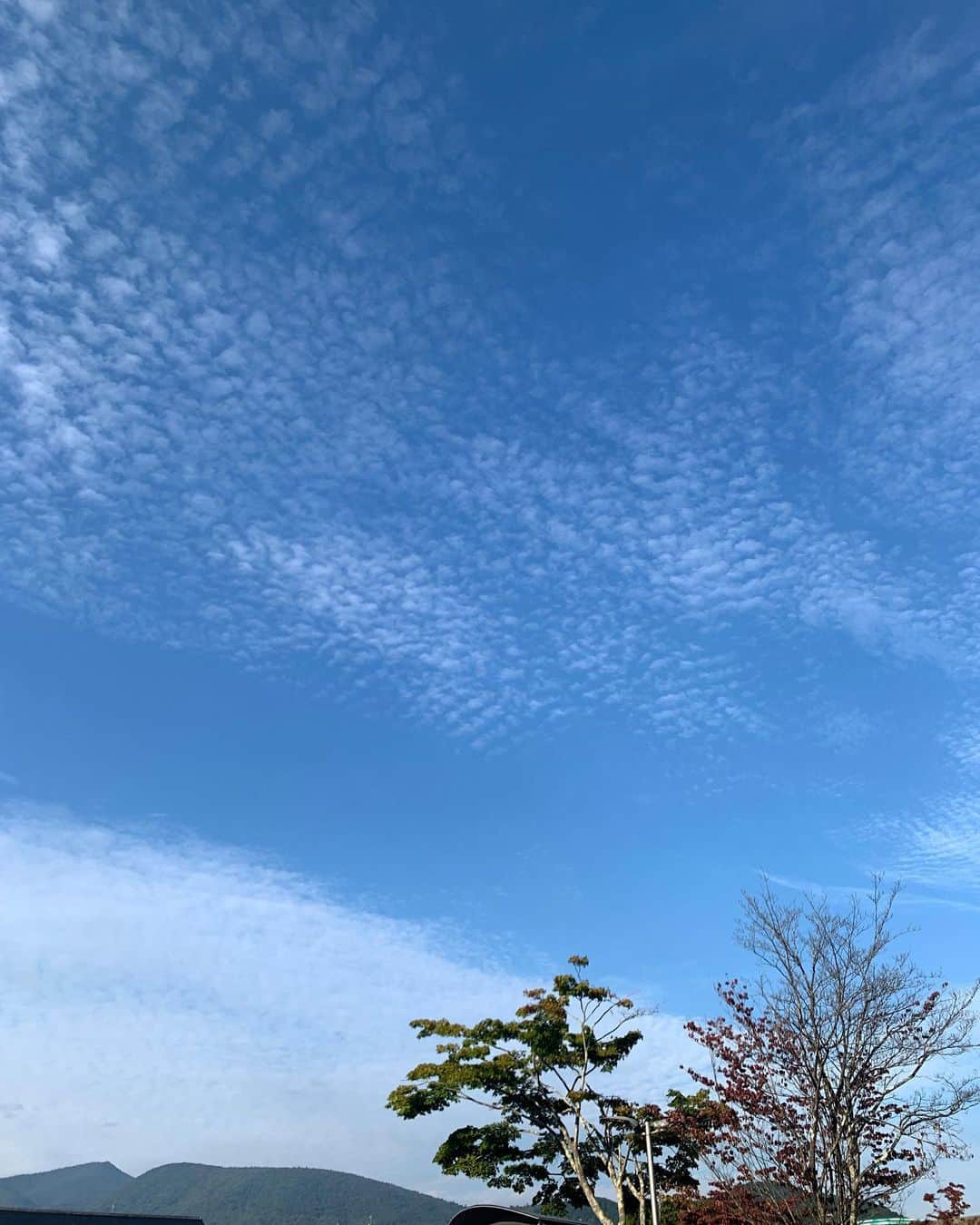 伊藤友季子さんのインスタグラム写真 - (伊藤友季子Instagram)「大人の遠足🐾 @hitohitohi_to とひさびさにおでかけ♡ 直前に行き先を決めて急遽軽井沢へ！ 晴れ女ちゃんのおかげでお天気も良くて☀️ 久しぶりに都会を抜け出して綺麗な空気を吸って、 お買い物もできて、最高にリフレッシュできました🌿 東京から1時間ちょっとで行けるなんて知らなかった！ 最初から最後まで笑いっぱなしの充実した休日でした♩ 明日から10月。 今年も最後まで大切に過ごそう🦔🍂」9月30日 23時00分 - yukiko_xx