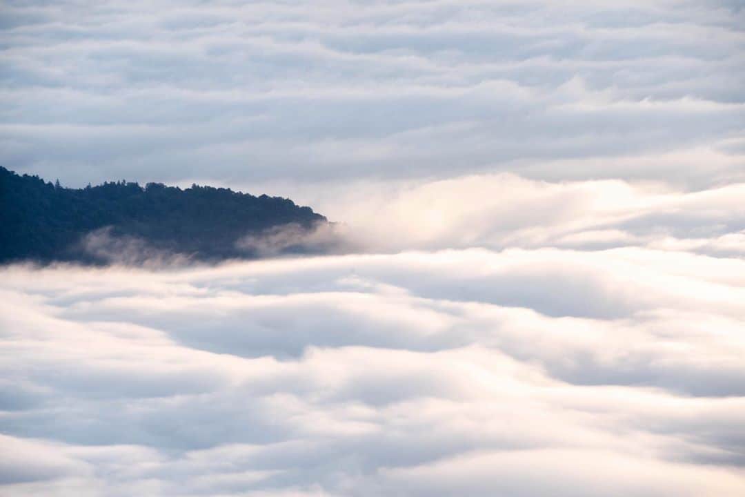 Hikaruのインスタグラム：「Carpet of cloud. . . . #北海道 #instagram #東京カメラ部 #tokyocameraclub #natgeo #bealpha #sonyphotography #pashadelic #bestjapanpics #ig_japan #natgeoyourshot #yourshotphotographer #naturephotography #ig_worldclub #1x #landscapephotomag #landscapelovers #lovers_nippon #visitjapanjp #bbctravel #art_of_japan #splendid_earth #日本の絶景 #ig_great_pics #BBCtravel #ig_worldclub」