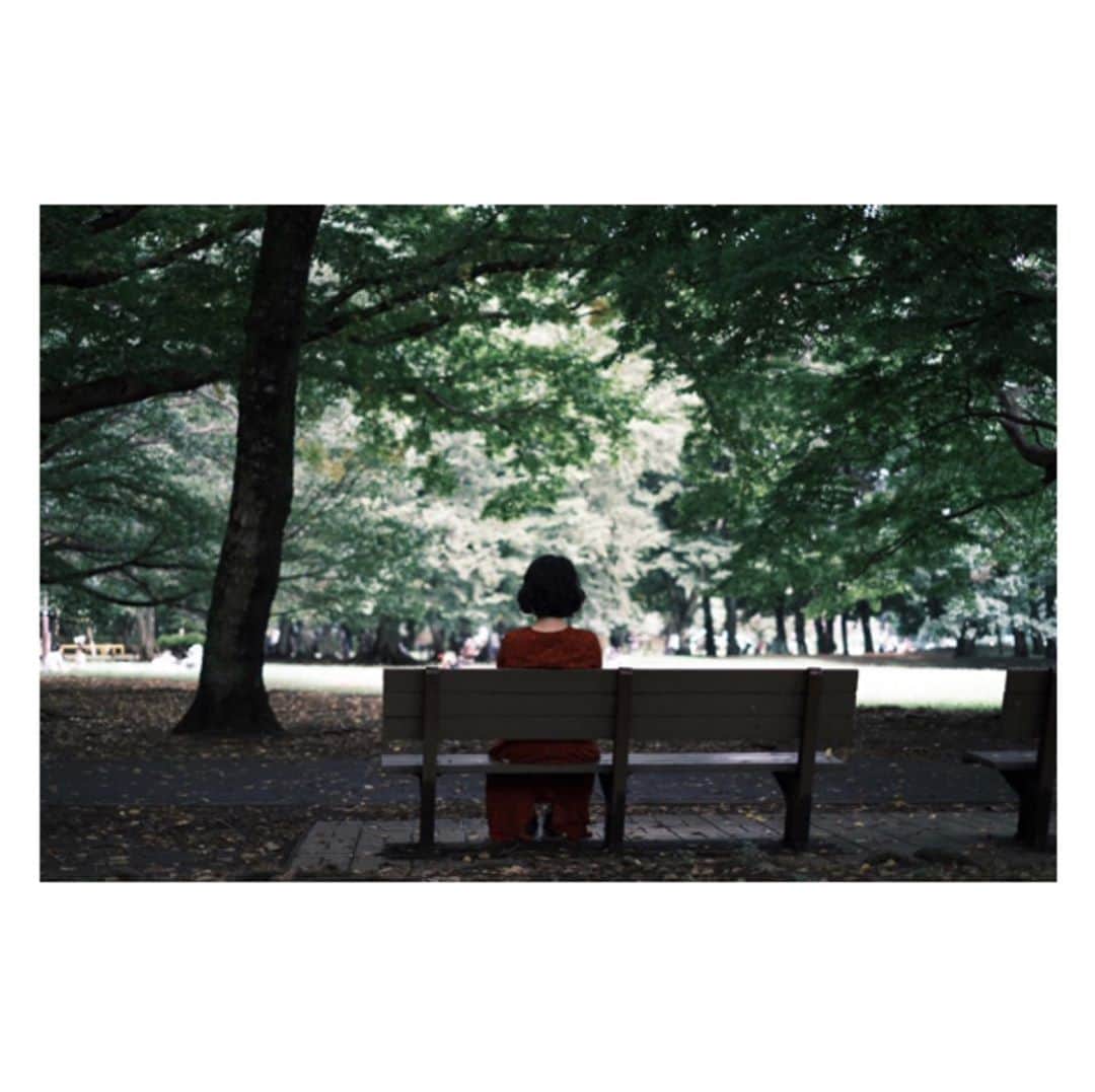 相馬有紀実さんのインスタグラム写真 - (相馬有紀実Instagram)「Red 📷@yamamoto_dsk  #photo #photography #散歩 #秋 #写真 #写真好きな人と繋がりたい #緑 #赤」9月30日 15時20分 - yukimi_soma