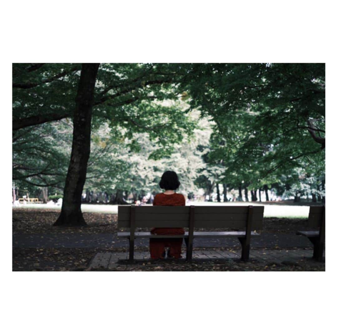 相馬有紀実のインスタグラム：「Red 📷@yamamoto_dsk  #photo #photography #散歩 #秋 #写真 #写真好きな人と繋がりたい #緑 #赤」