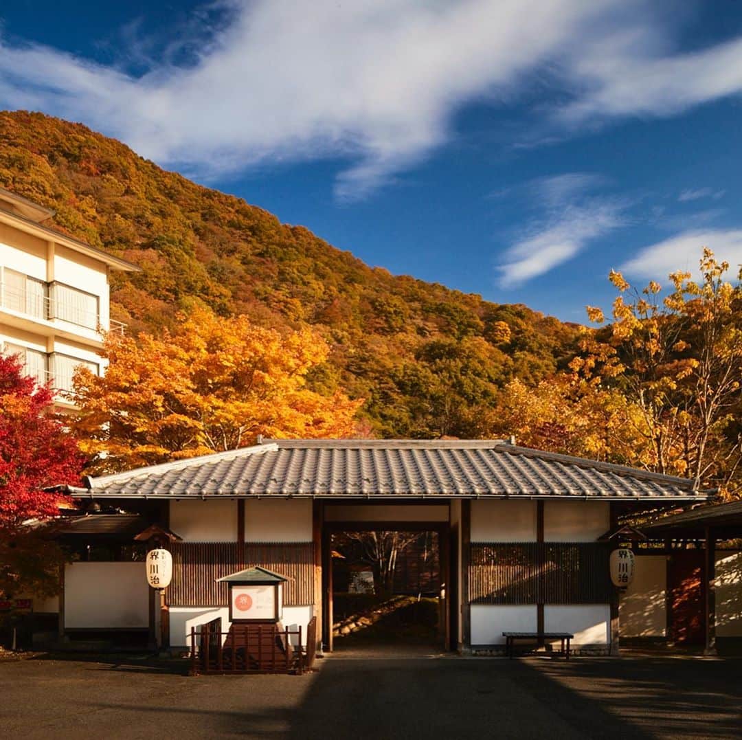 星野リゾートのインスタグラム：「【秋の施設紹介】 界 川治 - KAI Kawaji  栃木県・川治温泉の渓流沿いに佇む界 川治は、石臼で挽くきな粉づくりや紙漉き体験など、里山の知恵に触れる滞在を楽しめます。伝統工芸の野州麻紙（やしゅうまし）を設えた客室や、遊び心を感じる里山の会席料理のおもてなしで安らぐひとときを過ごせます。  Reset to the pace of a rural village  ▼おすすめのポイント▼ ①里山の湯宿で自然に包まれる滞在 ②橙色に染まる秋のお部屋 ③紅葉を眺めながら愉しむ贅沢な湯浴み  #HoshinoResorts #星野リゾート #Kai #界 #KaiKawaji #界川治 #Tochigi #Nikko #KawajiOnsen #栃木県 #日光市 #川治温泉 #日光旅行 #NikkoTravel #Nikkohotel #luxuryresort #JapaneseHotels #Ryokan #Hotspring #Onsen #travelJapan #ig_Japan #JapanTravel」