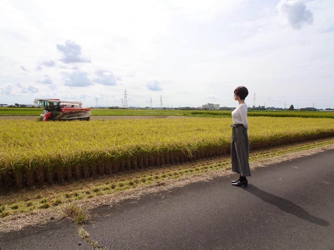 佐藤美希さんのインスタグラム写真 - (佐藤美希Instagram)「地元栃木でお仕事！ 落ち着くな〜。視界良き✨  衣装パンツ... @charm_berry_tic   #栃木 #ロケ #久しぶりの帰省 #衣装 #CHARMBERRYTIC #instagram」9月30日 16時43分 - satomiki0626