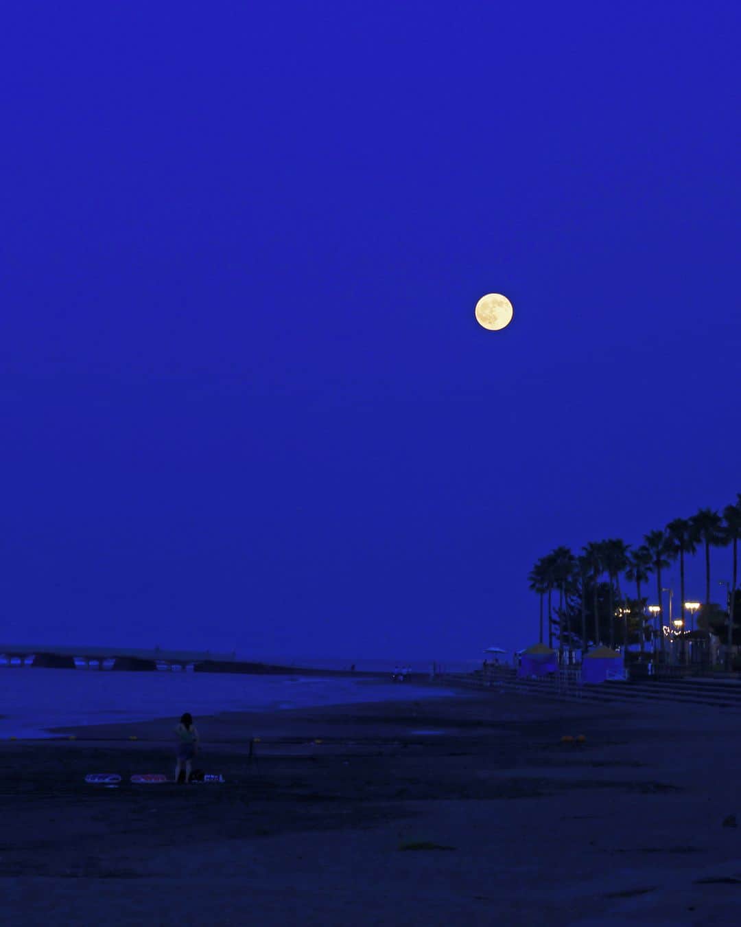 九州電力さんのインスタグラム写真 - (九州電力Instagram)「島そのものがパワースポット🏝⁣ .⁣ 島の中央に位置する青島神社は縁結びにご利益があるんだとか💓⁣ 満月が輝く夜は、南国の雰囲気が漂う昼間とは違った一面を見せてくれます🌕⁣ .⁣ 明日10月1日は、中秋の名月です。素敵な満月を眺めたいですね😊⁣ .⁣ 📍青島⁣ 🚃JR日南線青島駅下車徒歩約10分⁣ .⁣ ※写真は過去に撮影されたものです。⁣ 気兼ねなくお出かけできる日が来るまで、お届けする九州の風景が、皆さまの元気や癒しになれば幸いです🍀⁣ 九電グループでは、「あしたプロジェクト～あしたを、しんじて、たすけあおう～」を展開しています。詳しくは、HPをご覧ください✨⁣ .⁣ 現在九州電力では、SNSに関するアンケート調査を実施しております。⁣ 回答いただきました方から抽選で100名様に、Amazonギフト券500円分をプレゼントいたします。⁣ 詳しくは、プロフィール欄をご覧ください。⁣ .⁣ #九電 #kyuden #九州の灯り #九州ぐらむ #広がり同盟 #九州旅行 #九州 #九州愛 #kyushu #宮崎 #miyazaki #みやざき #宮崎市 #青島 #青島ビーチ #aoshimabeach #パワースポット #青い海 #満月 #満月の夜 #絶景 #日本の絶景 #絶景スポット #絶景delic #tripgramjp #幻想的な世界 #自然美 #お写んぽ #おうちで旅行気分 #あしたプロジェクト」9月30日 17時00分 - kyuden_official