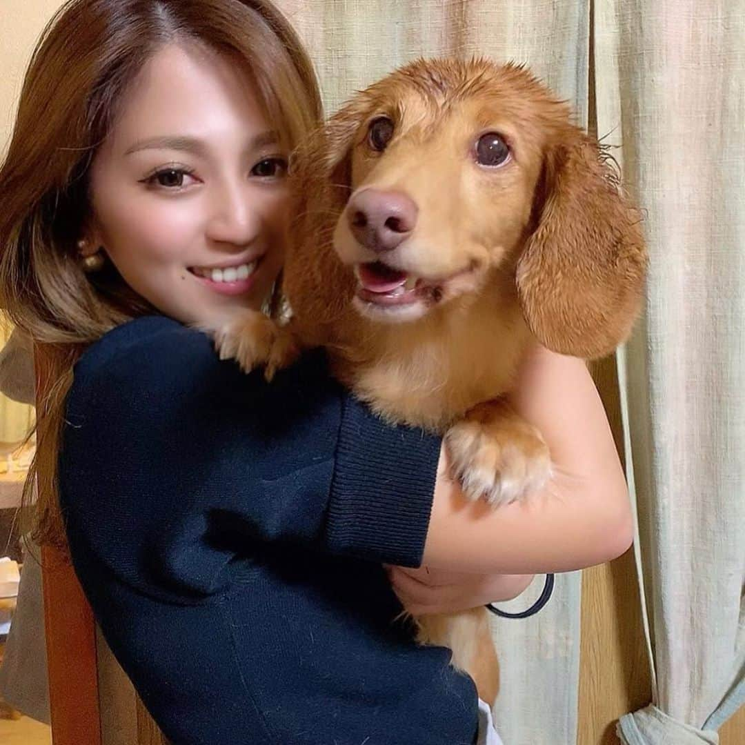 華小町さんのインスタグラム写真 - (華小町Instagram)「ももさん😍  皆様お仕事お疲れ様です❣ 22時迄に2名様以上でのご来店でキープボトルを1本サービスさせて戴きます😤‼️ この機会にぜひ京美人とはんなりと遊んでみてはいかがでしょうか🥺✨  当店ではコロナ対策として下記の内容を徹底して営業させていただいております。  ❣️お客様・従業員の体温チェック ❣️手指の消毒 ❣️従業員のマスクの着用 ❣️テーブルやソファの除菌・消毒 ❣️テーブル間隔を空けてのご案内 ❣️次亜塩素酸水での空間除菌 ❣️マスク、フェイスシールドの無料提供 ❣️お手洗いの定期消毒 ❣️店内清掃の徹底  当店は最善の注意を払って営業しております‼️  当店ではスタッフ、ホステスさんの募集をしております‼️‼️ 少しでも気になったり、ご興味がございましたらお気軽にDM又はお電話でお問い合わせください😍 TEL075-551-8750  #華小町 #カイザー #カイザーグループ #kaiser #キャバクラ #祇園キャバクラ #キャバ嬢 #ニュークラブ #夜職 #お水 #京都 #祇園 #モデル #美人 #美女図鑑」9月30日 17時45分 - hanakomachi.gion