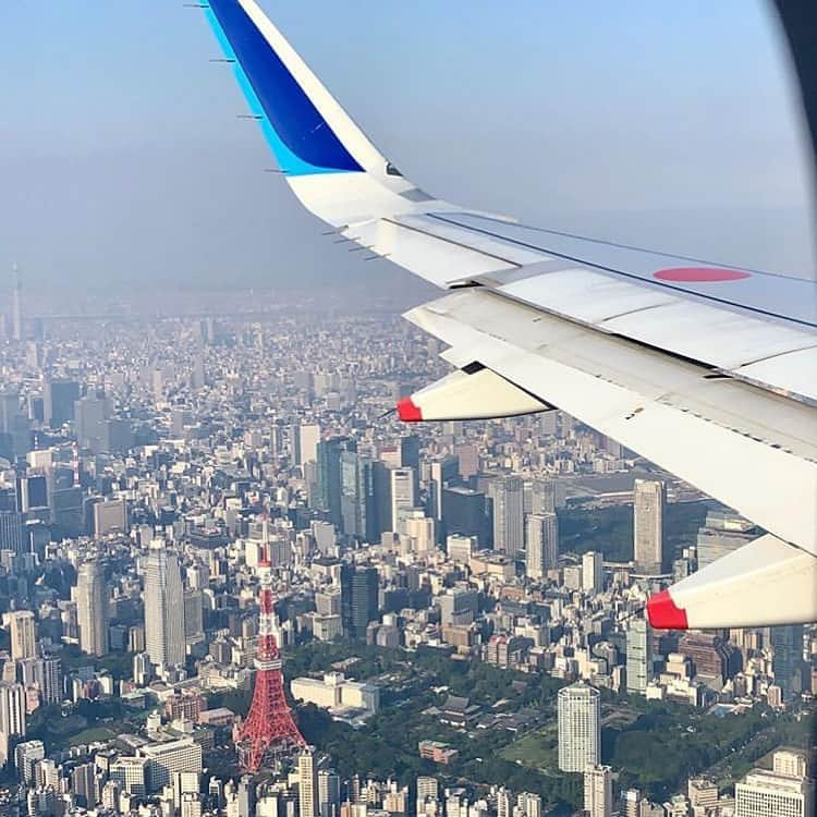 ANAさんのインスタグラム写真 - (ANAInstagram)「眼下に広がる都心の景色✈️﻿ （Photo：@lucky_rainbowcat）﻿ ﻿ #羽田空港へ #もうすぐ着陸 #都心の景色を #見下ろして #エアバス320 #ウイングレット #翼 #機窓 #東京タワー #東京上空 #都心 #羽田新ルート #ヒコーキ #ソラマニ_マドカラ #aviation #a320 #wing #city #tokyo #haneda #flight #view #route #anablue #anaairplane #camera #ana_jp ﻿ ﻿ 機窓からの風景は「#ソラマニ_マドカラ」をつけて投稿してね📷インスタやANAの各メディアでご紹介していきます💙」9月30日 17時46分 - ana.japan