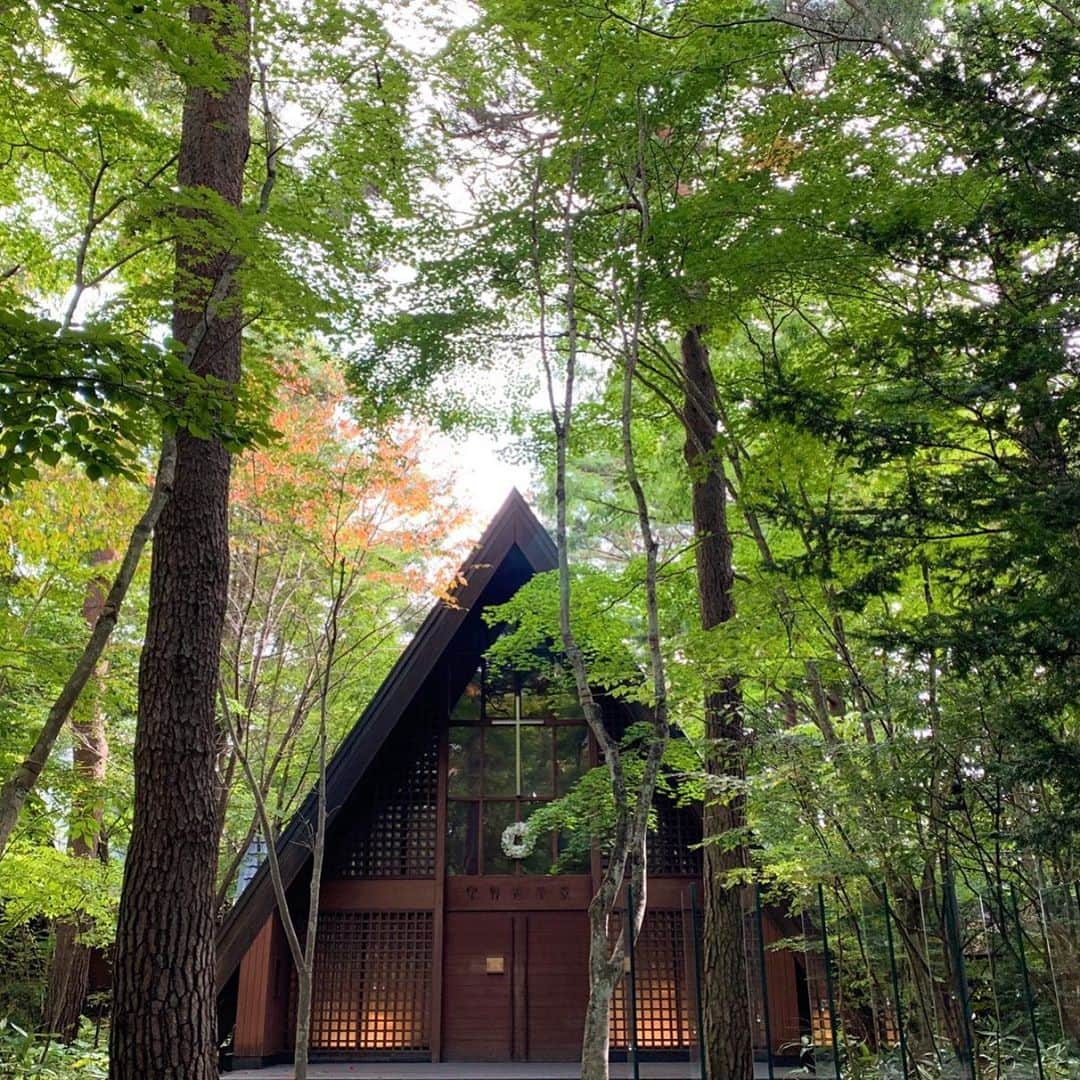 【公式】軽井沢高原教会のインスタグラム：「少しずつ変わっていく木々の色が、 季節の移ろいを教えてくれます。 例年、紅葉のピークは10月末ごろ。 ここから1ヶ月で、景色がガラリと変わります。  #軽井沢 #軽井沢高原教会 #秋探し #秋散歩 #変わる景色 #季節を感じる」