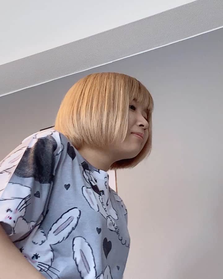 しふぉんのインスタグラム：「自然な姿🍀🌿🍃☘️(なに盗撮) 最初ふてぶてしいのじわる」