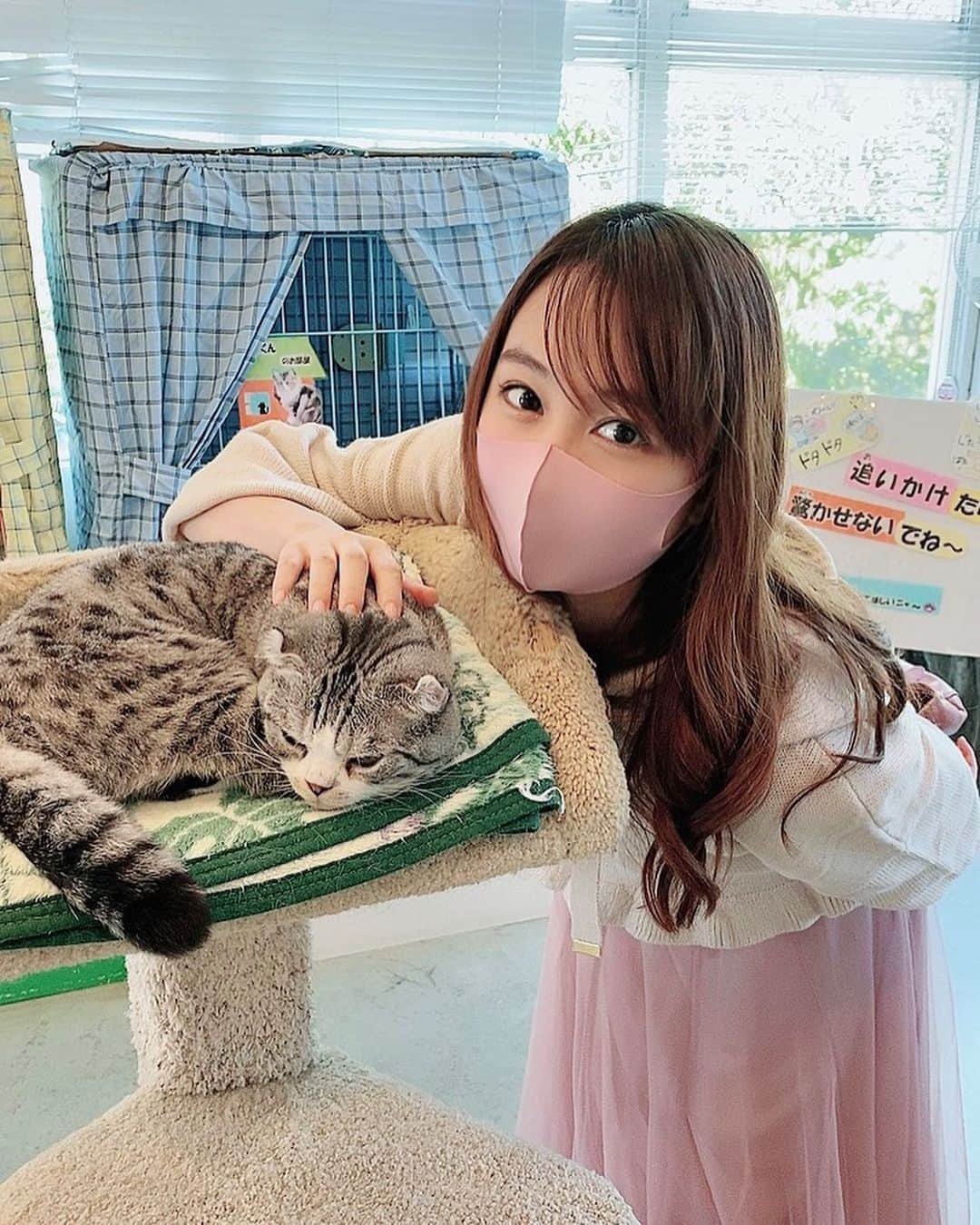 長久梨那さんのインスタグラム写真 - (長久梨那Instagram)「． #ねこの博物館 🐈 子供の頃よく行ったんだー🐱💕 #梨那の夏休み #伊豆 #伊東 #静岡 #旅行 #旅 #旅女 #国内旅行 #夏休み #猫 #ねこ #ライオン #ねこすたぐらむ #にゃんすたぐらむ #猫好き #アナウンサー #女子アナ #リポーター #ボートレース #女優 #舞台 #舞台女優 #フォロー #フォローミー #japan #girl #cat #catsofinstagram #followme」9月30日 18時36分 - rinanagahisa