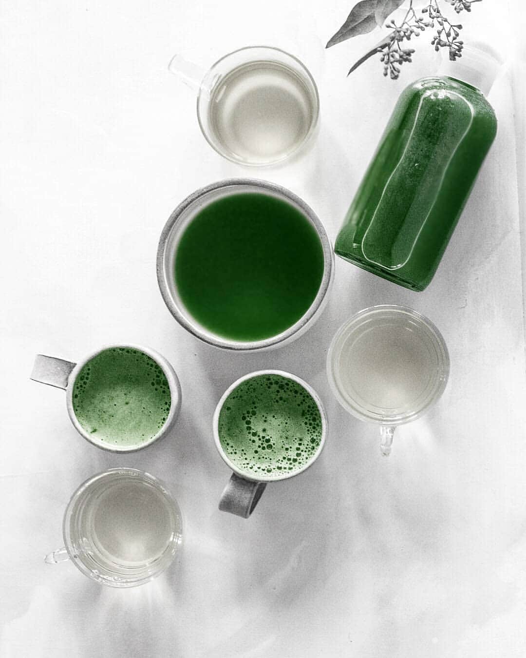 Matchæologist®さんのインスタグラム写真 - (Matchæologist®Instagram)「Tag your #MatchaMates with whom you’d like to enjoy different types of matcha drinks prepared 🍵 by the amazing @rezelkealoha! 🙏 Share with us your favourite type of matcha drink in the comments below! ✨ . 🙏 DID YOU KNOW – you can get a 10% discount off your first order with us?! Simply enter ‘WELCOME10’ at checkout 🙏 So...what are you waiting for? . To find out more about our splendid range of artisanal matcha, 🌱 visit Matchaeologist.com. . Link in bio 👉 @Matchaeologist . Matchæologist® #Matchaeologist Matchaeologist.com」10月1日 0時17分 - matchaeologist