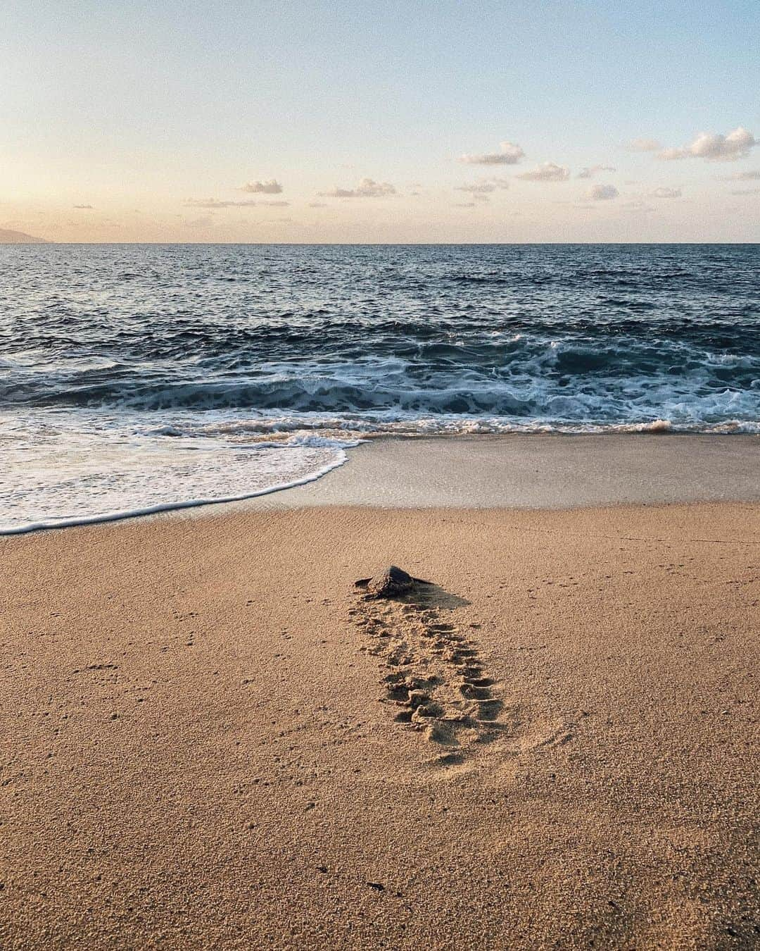 三浦大地のインスタグラム