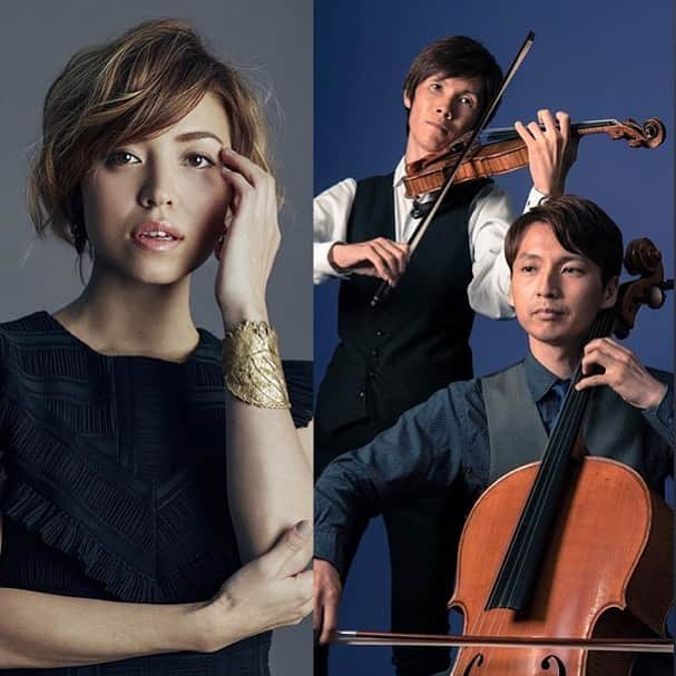 SHANTIのインスタグラム：「@cottonclubjapan  Bringing you something special for the winter season. With this Superb Violin and Cello Duo ShimizuNishiya at the deluxe venue cotton club in the heart of Tokyo. Can not wait to share  music from our hearts to yours!!  SHANTI’S ACOUSTIC RESONANCE with SHIMIZUNISHIYA 公演決定! ACCESS・場所：東京丸の内COTTON CLUB  ２０２０年１１月５日(木）10/9（金）12:00〜 発売開始　ご予約お問い合わせは 03-3215-1555 受付時間 12:00pm - 7:00pm *休業日：水・日東京交響楽団主席バイオリニストYasuaki Shimizu そして元東京楽団主席チェリスト Makito Nishiyaと共に心に染み入るしっとり癒し時間お届けします。  コットンクラブでは感染症の予防対策を十全に行っており、 お客さまには安心してステージをお楽しみいただけますよう、最大限の 防止策を講じておりますので安心してご来場下さい。  #violincello #violin #vocalmusic #tokyolivemusic #東京コンサート #丸ノ内 #東京丸ノ内 #東京駅ディナー  #東京駅グルメ #tokyolive #tokyoliveclub #livemusic」