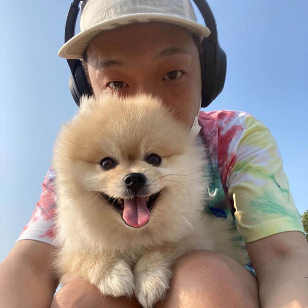Paloaltoのインスタグラム：「서울은 비가 많이 오네요. 다들 명절엔 우울하거나 스트레스 받지않았으면 좋겠구 안전, 건강, 풍성한 한가위 되세요!💝 사진은 랜덤👣🐾」