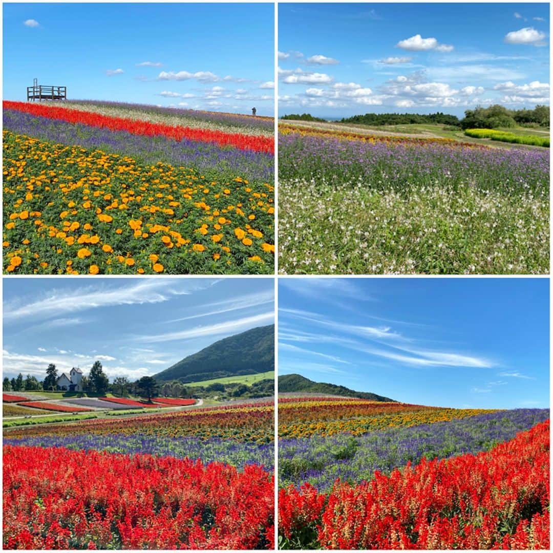 bon ponさんのインスタグラム写真 - (bon ponInstagram)「秋晴れのお天気に誘われて、宮城県加美郡加美町の「やくらいガーデン」に行って来ました。 ＊ やくらいガーデンの『ふるるの丘』は、春から秋まで美しい花々に彩られます🌷🌼🌹🌸 広大な敷地一面に広がる、色とりどりの花畑の美しさに感動しました😍😍 園内は、ハロウィンの飾り付けがされていて、随所に撮影スポットがあって楽しかったです🎃👻🎃💀 ＊ 10月10日(土)〜11月23日(月・祝)まで「星あかり 〜キャンドルの灯び〜」のイベントが行われます。 キャンドルライトやLEDによる期間限定のライトアップイベントで、色とりどりの花々が咲き誇るお昼の風景から一変！夜空の下に幻想的な風景が浮かび上がります。 自然の景観を活かした、ここでしか見られない光と音の世界。 夜も行ってみたいなぁと思いました。 ＊ ＊ #やくらいガーデン #ふるるの丘 #夫婦 #60代 #ファッション #コーディネート #リンクコーデ #夫婦コーデ #グレイヘア #白髪 #共白髪 #couple #over60 #fashion #coordinate #instafashion #instagramjapan #greyhair #bonpon511」9月30日 19時25分 - bonpon511