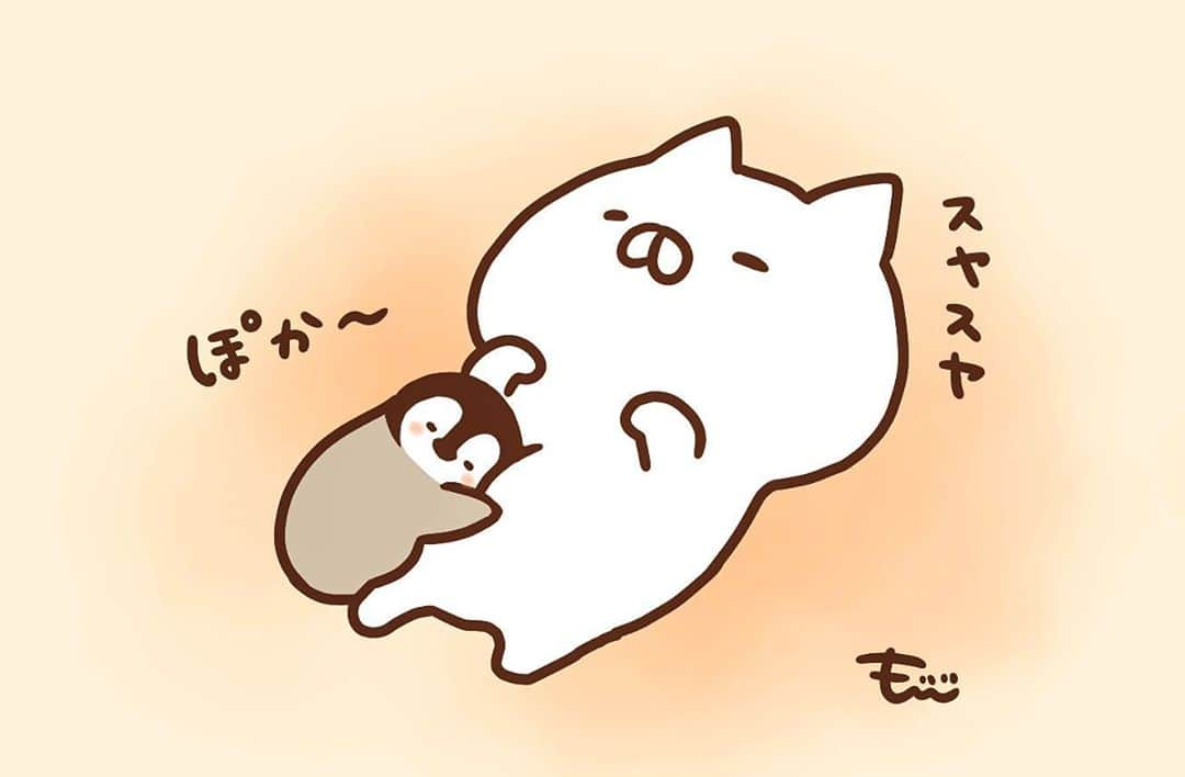 もじじのインスタグラム：「てんねんゆたんぽ  #ねこぺん日和#ねこくん#ぺんちゃん#ねこぺん」