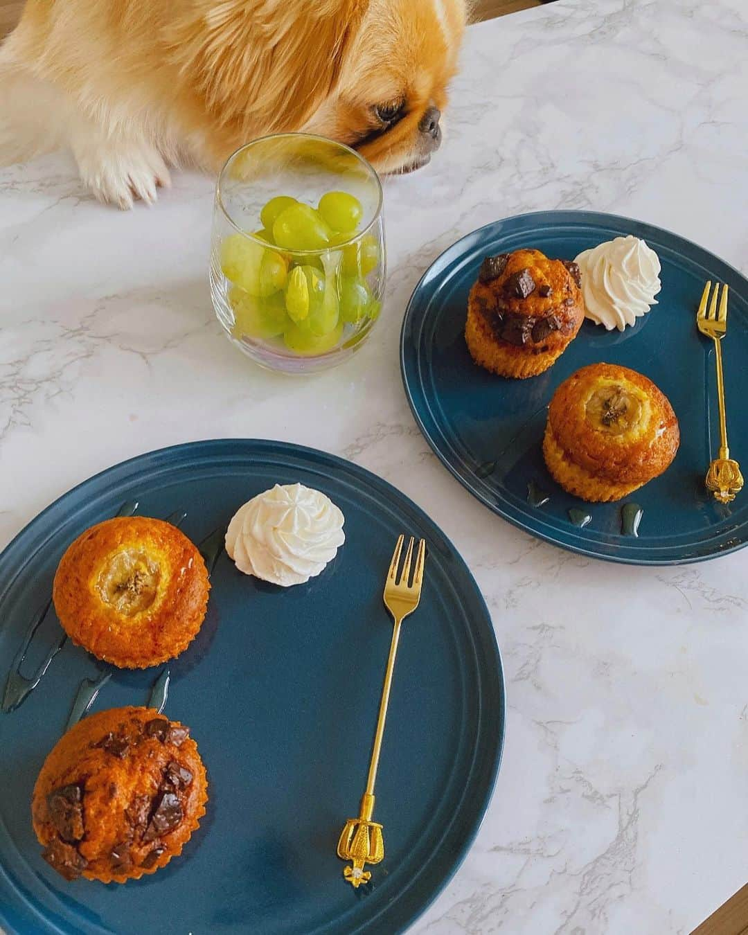 ハミ さんのインスタグラム写真 - (ハミ Instagram)「▽ 🧁🧁🧁  こないだ姉が遊びに来た日に作ったバナナマフィンとチョコマフィン🍫🍌🐶  今日はなんにもやる気が起きない日で、 ぼやっとした午前中を過ごしたんだけど、 豆大福食べたら一気に元気出た🤩笑  見えないはずのやる気スイッチがはっきり見えた気がした午後でした🥳  #sweets#🧁」9月30日 19時33分 - hami0519