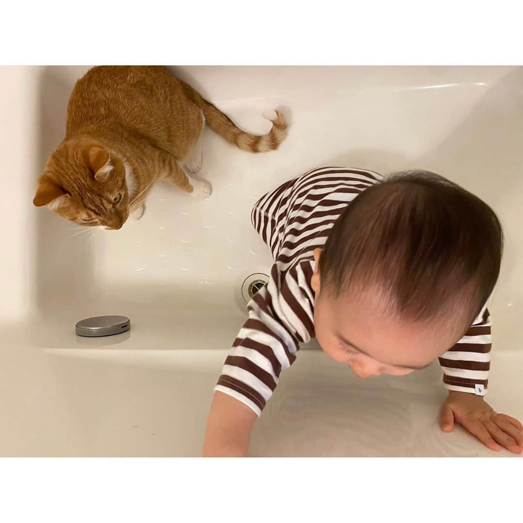 ひよりさんのインスタグラム写真 - (ひよりInstagram)「最近は、やること、好きなものが同じな2人🐱👶🏻」9月30日 20時02分 - nekohiyo