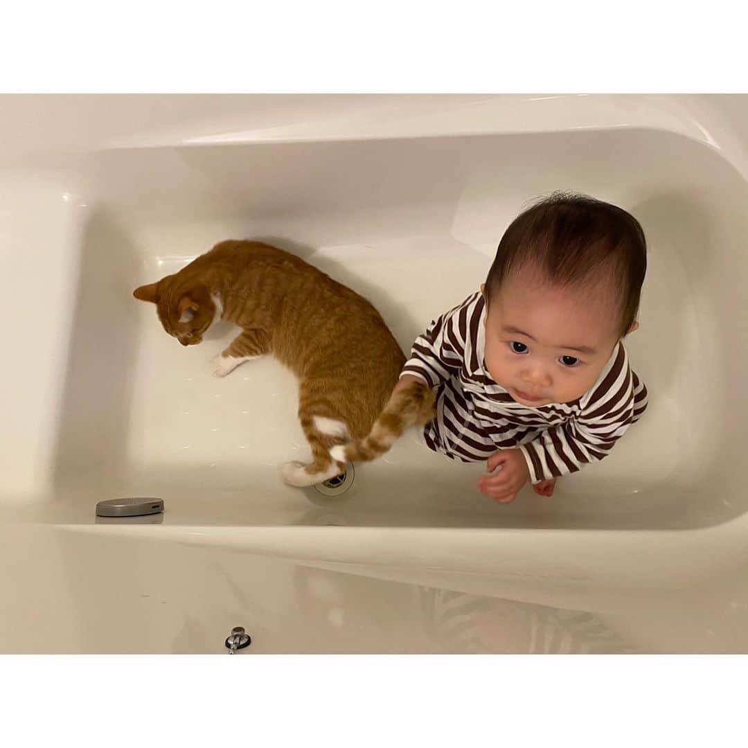 ひよりさんのインスタグラム写真 - (ひよりInstagram)「最近は、やること、好きなものが同じな2人🐱👶🏻」9月30日 20時02分 - nekohiyo