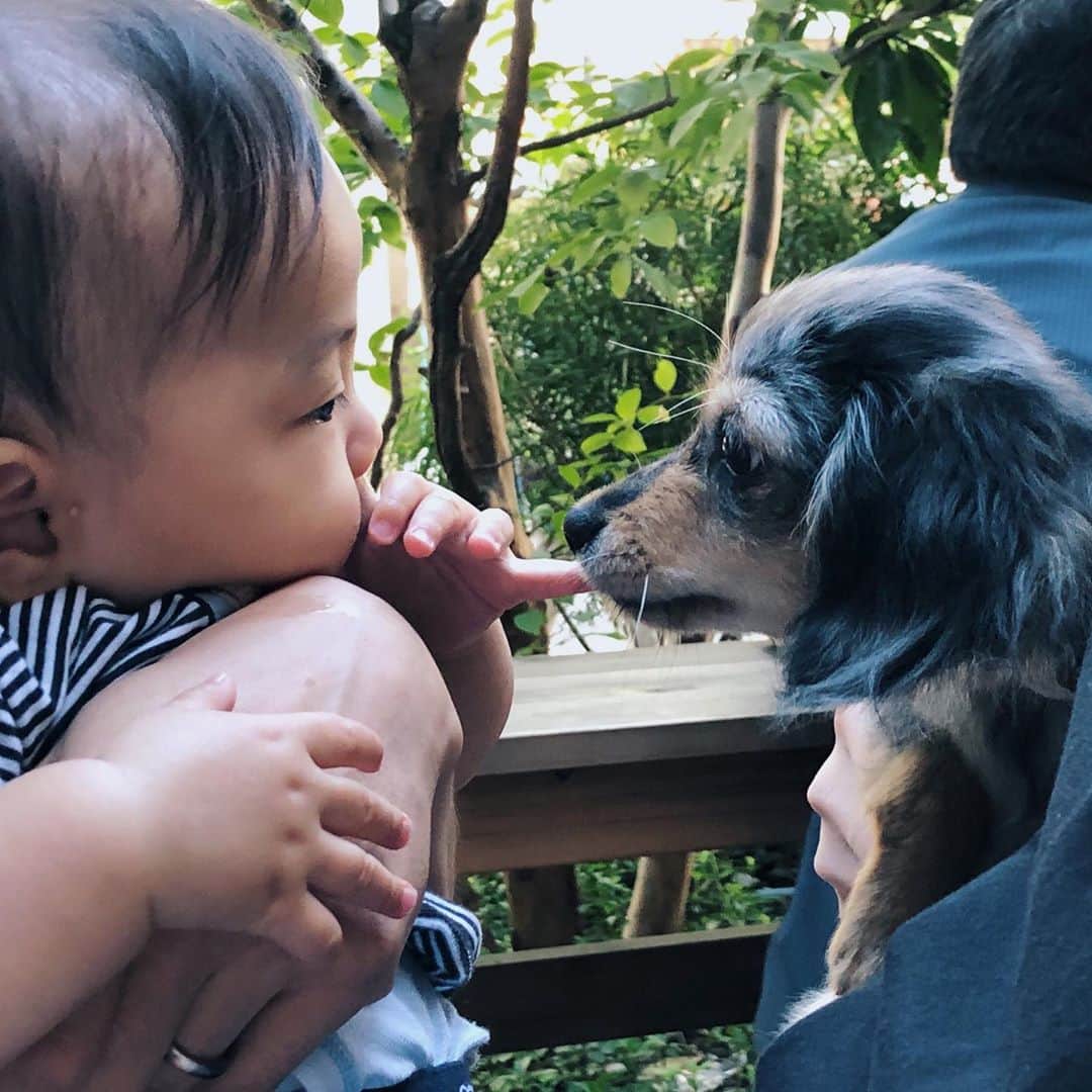 長坂 睦生さんのインスタグラム写真 - (長坂 睦生Instagram)「初めて犬を見るbaby(6か月)と 初めてbabyと触れ合う犬(5ヶ月)。 2枚目、3枚目もいい写真すぎ。 今回の帰国も楽しい時間をありがとう✌︎」9月30日 20時12分 - mutsukinagasaka