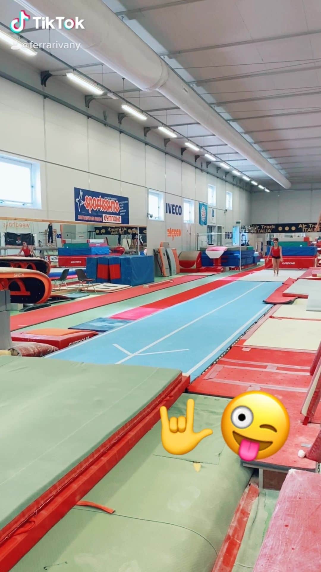 バネッサ・フェラーリのインスタグラム：「🚨👐🚨 #vanessaferrari #gymnastics #ginnasticaartistica #trainig #gym」