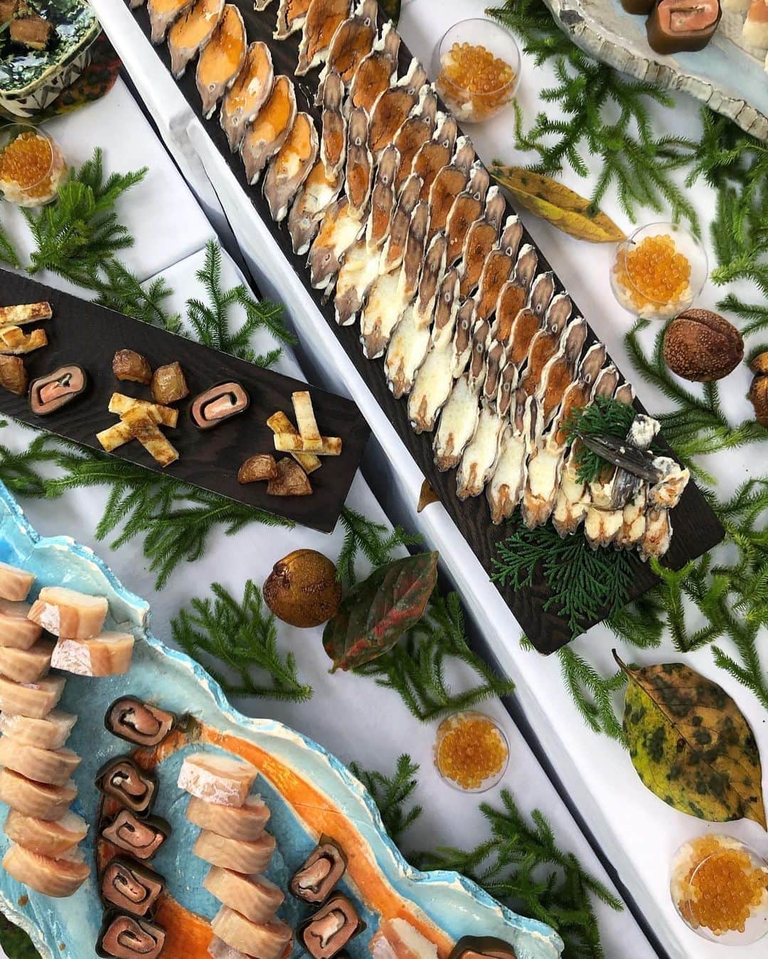 真藤舞衣子のインスタグラム