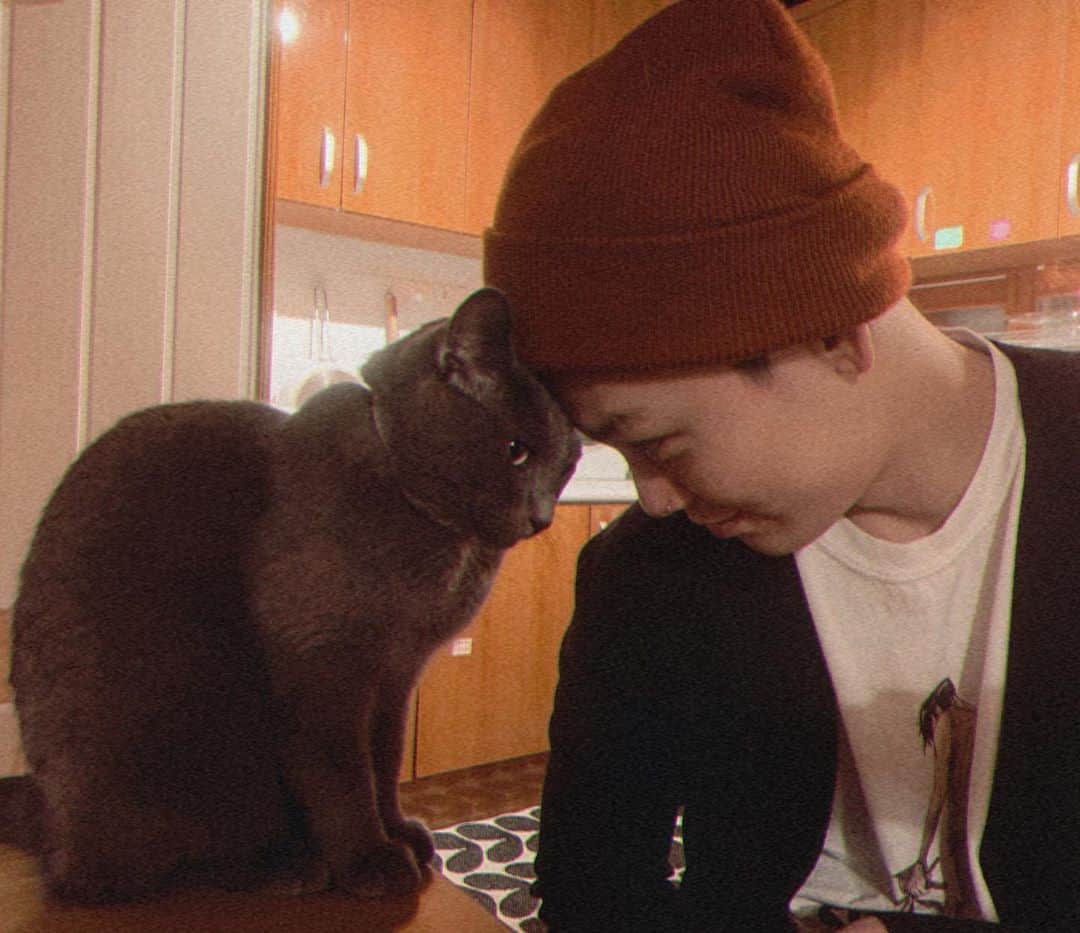 ZELO のインスタグラム：「🐱」