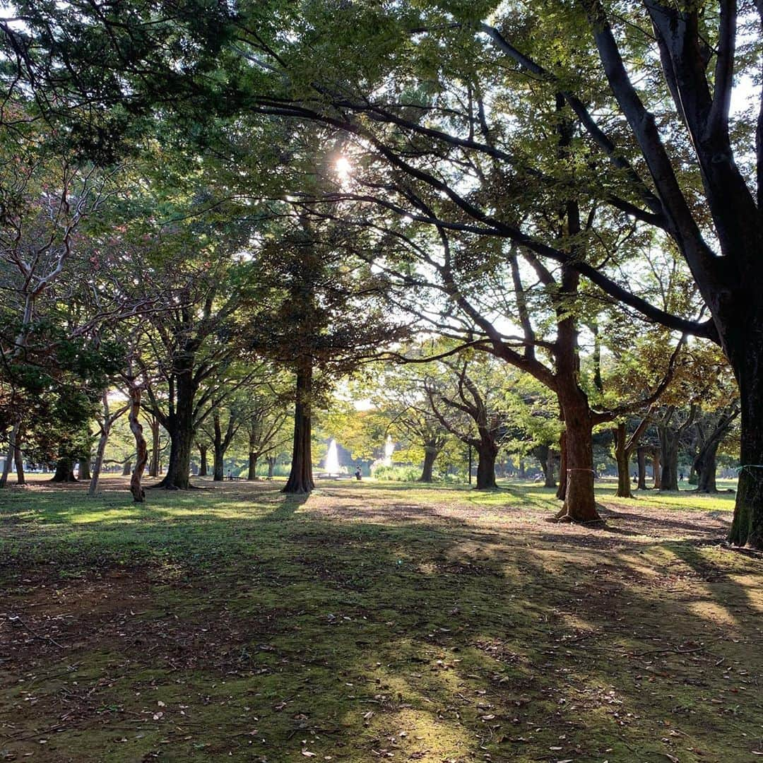 上野樹里さんのインスタグラム写真 - (上野樹里Instagram)「最後の夏感。 ポカポカして、とっても気持ちが良い。🌞 仕事後の緑のエネルギー充電。🌳 ブーとおさんぽ。🐶❣️ #百日紅の花 かな？花言葉は、	「雄弁」「愛嬌」「不用意」  由来には、こんな物語が。。  ある王子が恋人に百日後の再会を約束して旅立ちました。  しかし、王子が戻るとすでに恋人は亡くなっていました。そして、恋人が埋葬された場所からサルスベリが生えたといいます。  これが百日紅（ヒャクジツコウ）の名前の由来であるともいわれているそうです。  少し切ない気持ちになりますね。 この度、文春の最後のカットで、木のピンクのお花を持っていました。撮影に行ったら、剪定して数分前に切られてしまった花の数々。想定外だったようですが、きれいな花は切られても綺麗だと思った。そのまますぐ花を手にとって、そこに積まれたピンクの花の山の隣に座り撮影して行くことに。。😊最後のカットに生と死が美しく添えられた。それが、百日紅の花だったんだね。😌🌟黙々と剪定するお爺さんを横目に、諦めず撮影して良かった😌 皆さん、色々ある一日、おつかれさまです。 今夜も良い夜を過ごしましょうね🛀♨️☺️😪💤🌟🌙 #百日紅 #森林」9月30日 21時25分 - _juri_art_