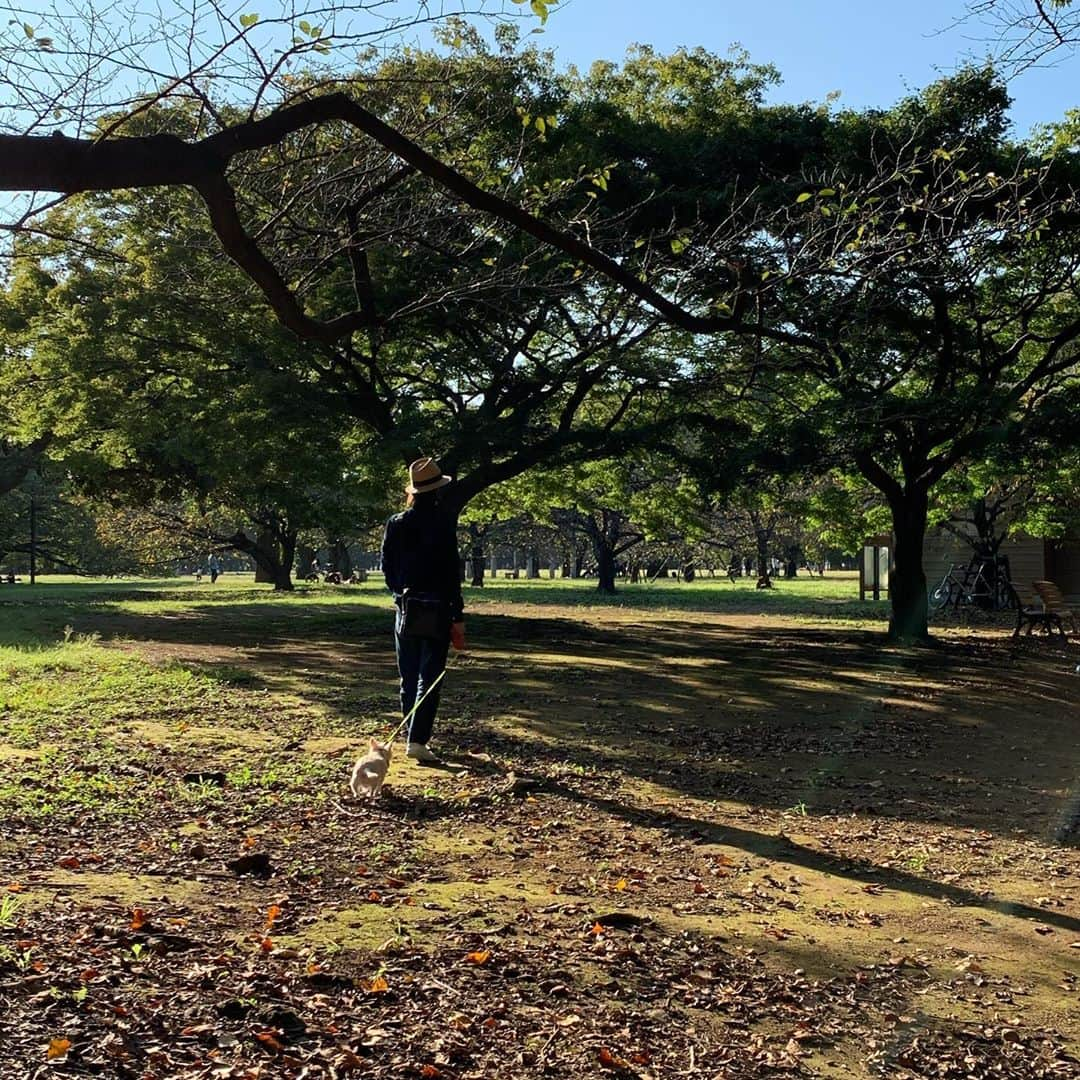 上野樹里さんのインスタグラム写真 - (上野樹里Instagram)「最後の夏感。 ポカポカして、とっても気持ちが良い。🌞 仕事後の緑のエネルギー充電。🌳 ブーとおさんぽ。🐶❣️ #百日紅の花 かな？花言葉は、	「雄弁」「愛嬌」「不用意」  由来には、こんな物語が。。  ある王子が恋人に百日後の再会を約束して旅立ちました。  しかし、王子が戻るとすでに恋人は亡くなっていました。そして、恋人が埋葬された場所からサルスベリが生えたといいます。  これが百日紅（ヒャクジツコウ）の名前の由来であるともいわれているそうです。  少し切ない気持ちになりますね。 この度、文春の最後のカットで、木のピンクのお花を持っていました。撮影に行ったら、剪定して数分前に切られてしまった花の数々。想定外だったようですが、きれいな花は切られても綺麗だと思った。そのまますぐ花を手にとって、そこに積まれたピンクの花の山の隣に座り撮影して行くことに。。😊最後のカットに生と死が美しく添えられた。それが、百日紅の花だったんだね。😌🌟黙々と剪定するお爺さんを横目に、諦めず撮影して良かった😌 皆さん、色々ある一日、おつかれさまです。 今夜も良い夜を過ごしましょうね🛀♨️☺️😪💤🌟🌙 #百日紅 #森林」9月30日 21時25分 - _juri_art_