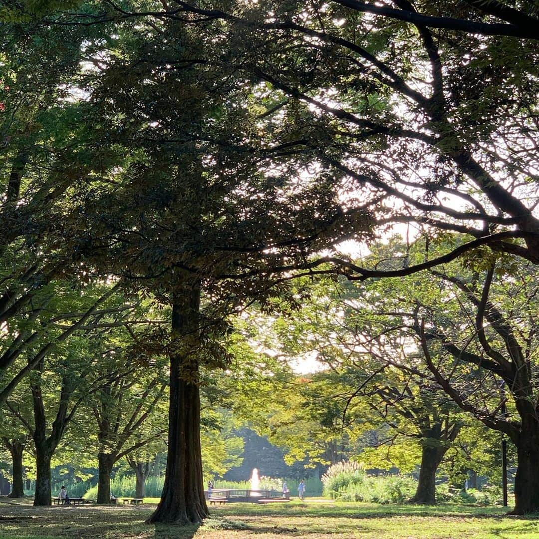 のインスタグラム：「最後の夏感。 ポカポカして、とっても気持ちが良い。🌞 仕事後の緑のエネルギー充電。🌳 ブーとおさんぽ。🐶❣️ #百日紅の花 かな？花言葉は、	「雄弁」「愛嬌」「不用意」  由来には、こんな物語が。。  ある王子が恋人に百日後の再会を約束して旅立ちました。  しかし、王子が戻るとすでに恋人は亡くなっていました。そして、恋人が埋葬された場所からサルスベリが生えたといいます。  これが百日紅（ヒャクジツコウ）の名前の由来であるともいわれているそうです。  少し切ない気持ちになりますね。 この度、文春の最後のカットで、木のピンクのお花を持っていました。撮影に行ったら、剪定して数分前に切られてしまった花の数々。想定外だったようですが、きれいな花は切られても綺麗だと思った。そのまますぐ花を手にとって、そこに積まれたピンクの花の山の隣に座り撮影して行くことに。。😊最後のカットに生と死が美しく添えられた。それが、百日紅の花だったんだね。😌🌟黙々と剪定するお爺さんを横目に、諦めず撮影して良かった😌 皆さん、色々ある一日、おつかれさまです。 今夜も良い夜を過ごしましょうね🛀♨️☺️😪💤🌟🌙 #百日紅 #森林」