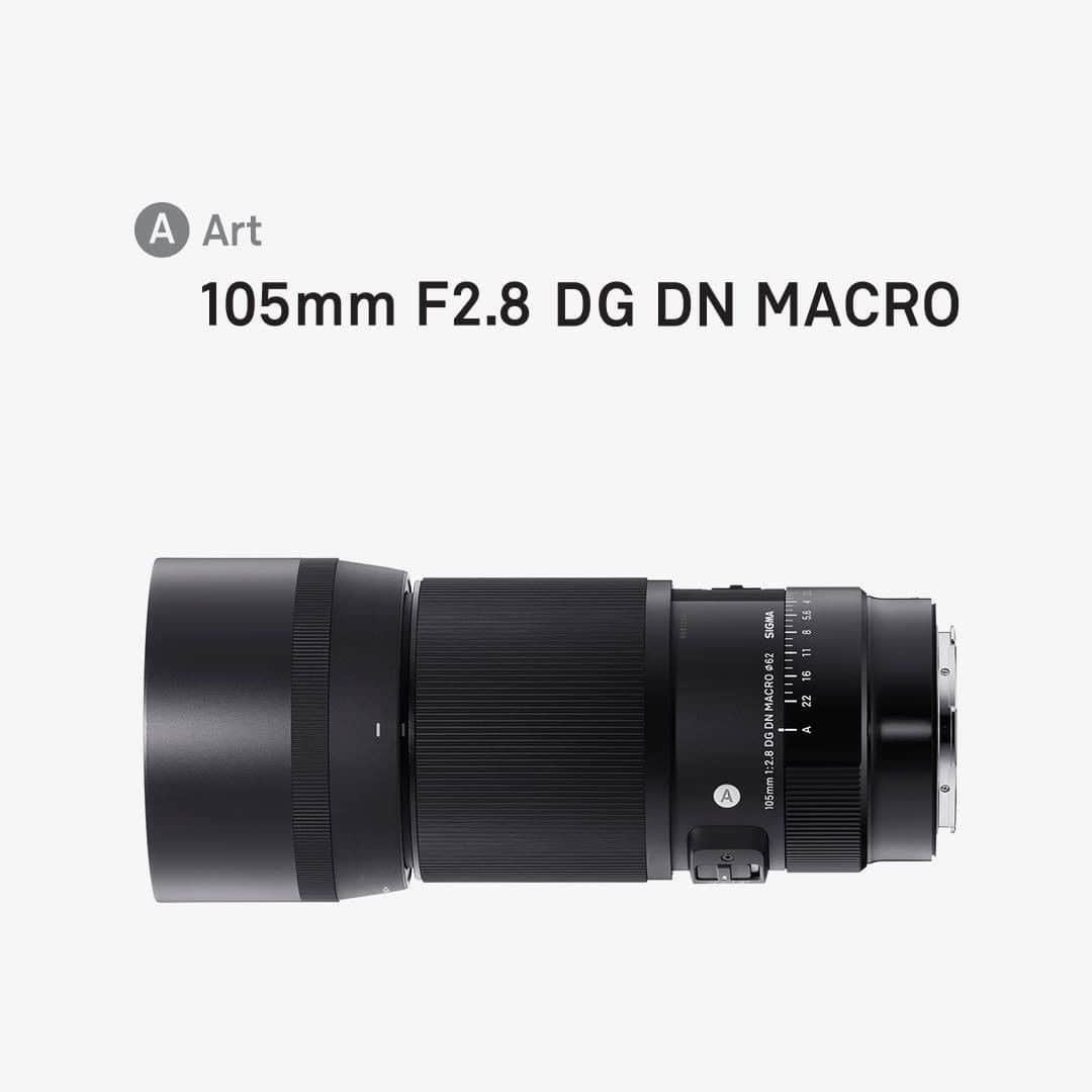 Sigma Corp Of America（シグマ）さんのインスタグラム写真 - (Sigma Corp Of America（シグマ）Instagram)「Today, Sigma announced the 105mm F2.8 DG DN Macro  Art, the latest full-frame, mirrorless-exclusive lens designed to provide exceptional optical performance along with practical features that make this the new standard for macro photography optics.  With 1:1 maximum magnification, dust and splash-proof construction, a high-precision HSM focusing motor, aperture ring, focus limiter and more, this lens provides everything you need to attain extremely detailed close-up images at a working distance of just 5.5 inches.  The classic 105mm focal length and F2.8 max aperture make it a great portrait lens, too!  And at just $799, it's not out of reach for photographers who need a professional-caliber lens that tackles everything from ants to engagement rings.  Available for Sony E-Mount and L-Mount cameras, the SIGMA 105mm F2.8 DG DN Macro  Art will begin shipping in late October 2020 at authorized dealers nationwide!  #sigmaphoto #SIGMA #sigma105mmdgdnmacroart #sigma105macro #sigma105mmmacro #sigmalens #sigmalenses #macrophotography #macro #macrolens #closeupphotography #closeup #comingsoon」9月30日 21時30分 - sigmaphoto