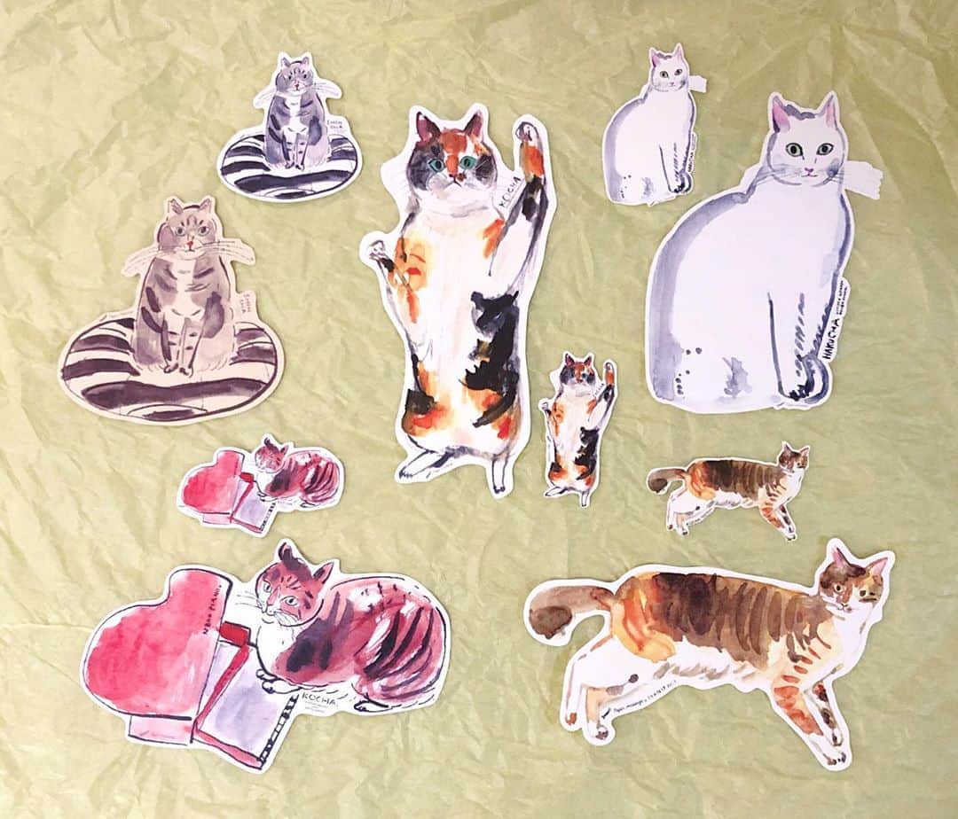 のインスタグラム：「✼ 今年の『おうちで猫博』と 去年一昨年の『うちの猫博』の 紅白新茶グッズを印刷オーダーしました✨ めーっちゃかわいい😍❤️🤍🖤 * 1枚目 紅白新茶せいぞろい 2枚目 #おうちで猫博 3枚目 #うちの猫博vol4  4枚目 #うちの猫博vol3 * #ペーパーメッセージ #papermessage #おうちで猫博 #うちの猫博 #猫博 * #catsofinstagram #instacat_meows #IGersJP #rakutenpet #nyancon01 #mmts_nekotomo #petokotolife #無敵の親バカ同盟 #関西ねこ部 #ふわもこ部 #ペコねこ部 #peppyフォト部 #スタペグラム #ねこのきもち #サンデイ #ペトラフ #我が家のキャティーマン #猫グッズ * #marikill66_0930 #fukukohakushincha #fukukohakushinchaart #fukukohakushinchaitems #fukukohakushinchacongrats」
