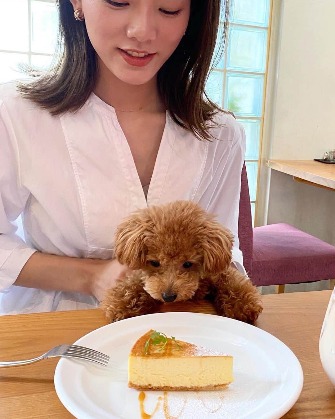 王子咲希(saki ouji)さんのインスタグラム写真 - (王子咲希(saki ouji)Instagram)「.  . りまちゃんと初カフェ🐶☕️❤️ . . #dogcafe #ティーカッププードル #トイプードル #いぬすたぐらむ  #犬のいる暮らし」9月30日 21時46分 - sakiouji