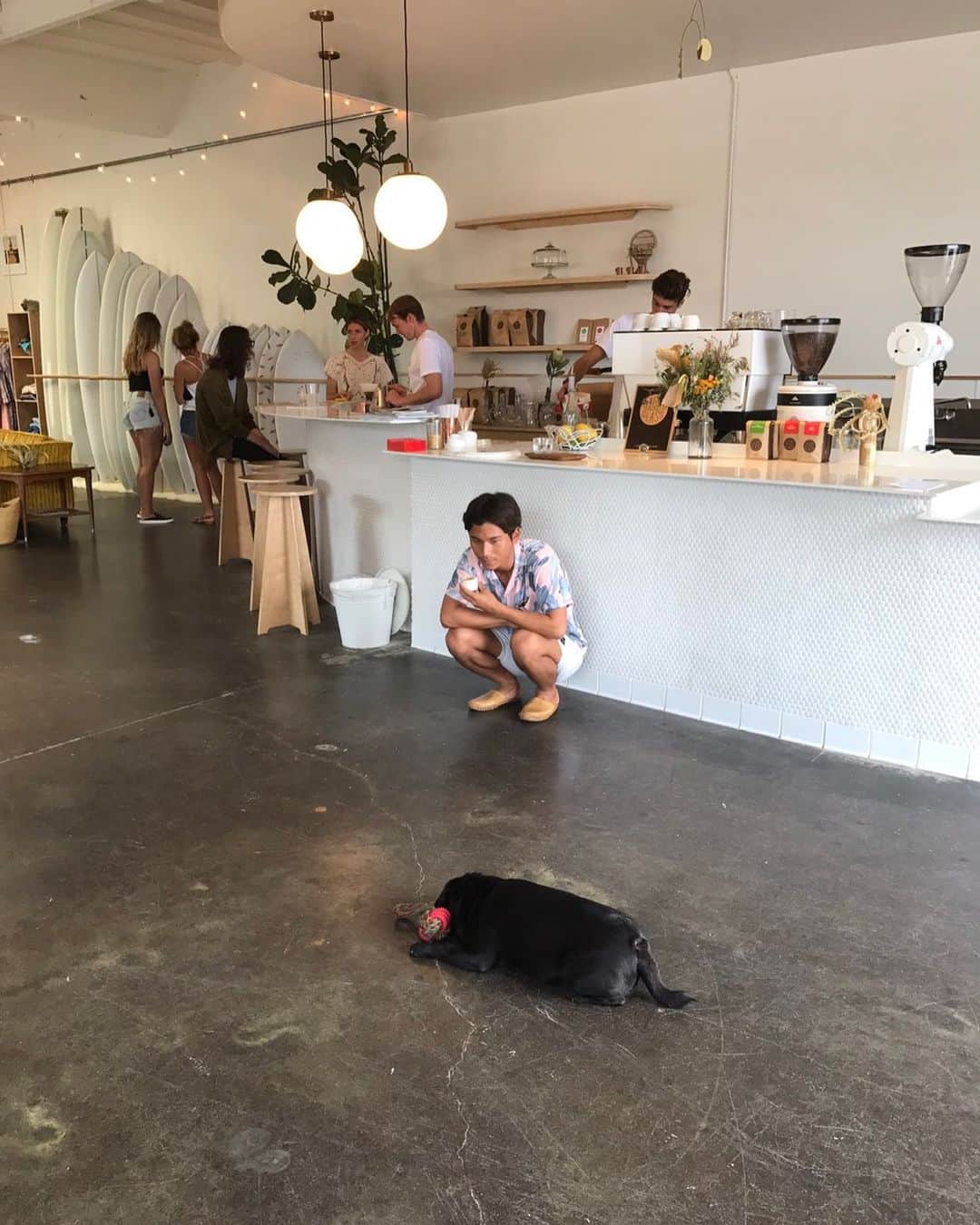 関川良さんのインスタグラム写真 - (関川良Instagram)「黒い丸太みたいな犬。みんな旅したいよねー。」9月30日 21時49分 - ryosekikawa