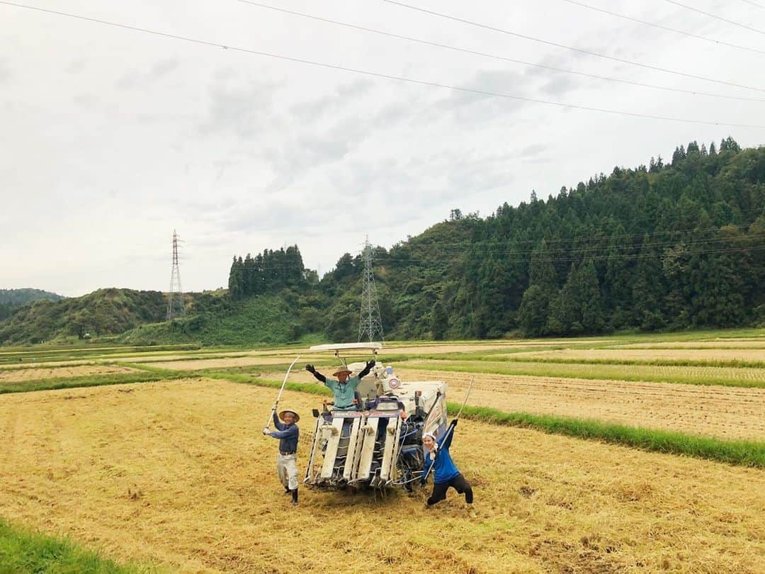 hoshinofumikaさんのインスタグラム写真 - (hoshinofumikaInstagram)「【お知らせ】 稲刈り無事終了しました！✨ 本当に大変でしたが、皆さんのお力を借りて 無事に終える事が出来ました！ 絶対忘れられない米作りになりました！🌾 おかげさまで一等米、味もSSランクの 最高米となりました✨ 明日のお昼１２時より発売です！ 販売ページが新しくなります✔️ また明日、お知らせします💓 全国の皆さんへ届けるの楽しみにしてます！🚜 . . 明日は魚沼ほしの農産の方で インスタライブしますので まだの方、フォローよろしくお願いします。 ↓ @uonumahoshinonousan  . . #稲刈り　#魚沼ほしの農産　#米作り　#新米　#一等米　#魚沼産コシヒカリ　#最高米　#uonumalife」9月30日 22時13分 - fumika_hoshino