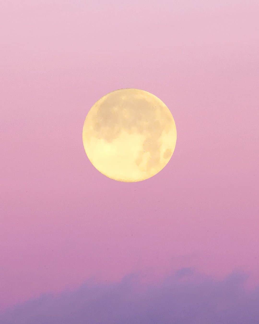 KORA Organicsさんのインスタグラム写真 - (KORA OrganicsInstagram)「October 1st is the Harvest Moon of 2020. 🌕 The moonrise comes soon after sunset & provides an abundance of bright moonlight. 🌙 Be sure to make time to enjoy the evening #glow! #KORAOrganics #MindBodySkin #NoniGlow」10月1日 8時33分 - koraorganics