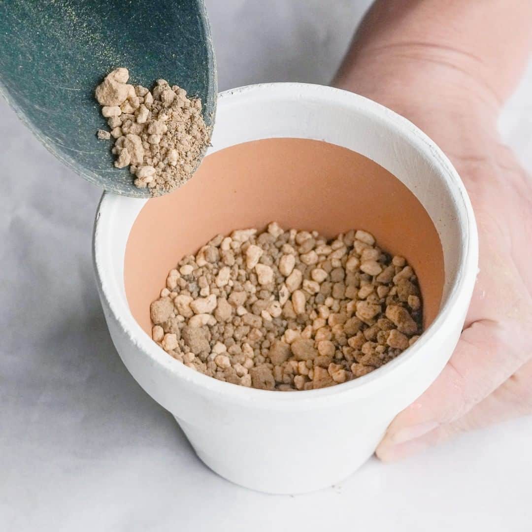 LOVEGREEN -植物と暮らしを豊かに。さんのインスタグラム写真 - (LOVEGREEN -植物と暮らしを豊かに。Instagram)「［オリジナル鉢に多肉植物を植え替えよう！］ . お気に入りの多肉植物。 既存の鉢をそのまま使うのもいいけど、せっかくなら自分好みにアレンジしてみませんか？ . LOVEGREENでは素焼き鉢をペイントするだけのカンタンアレンジと、多肉植物の植え替えの基本をご紹介。 . 秋の植え替えシーズンに多肉植物をオリジナルの鉢に植え替えてみましょう！ . ------------------------------------------ . 詳しくは @lovegreen_official のURLからチェック🌿 . #多肉植物 #多肉植物 #多肉植物のある暮らし #多肉植物寄せ植え #多肉植物初心者 #多肉植物好き #多肉植物のある生活 #ギフト #プレゼント  #サボテン #多肉植物初心者 #園芸 #花言葉 #贈り物 #サボテンのある暮らし #サボテンの花 #グリーンのある暮らし #インドアグリーン #緑のある生活 #植物 #植物のある暮らし #植物のある生活 #植物と暮らす #植物が好き #シンプルな暮らし #シンプルライフ #暮らしを楽しむ #日々の暮らし #暮らしを楽しむ #ガーデニング」10月1日 9時00分 - lovegreen_official
