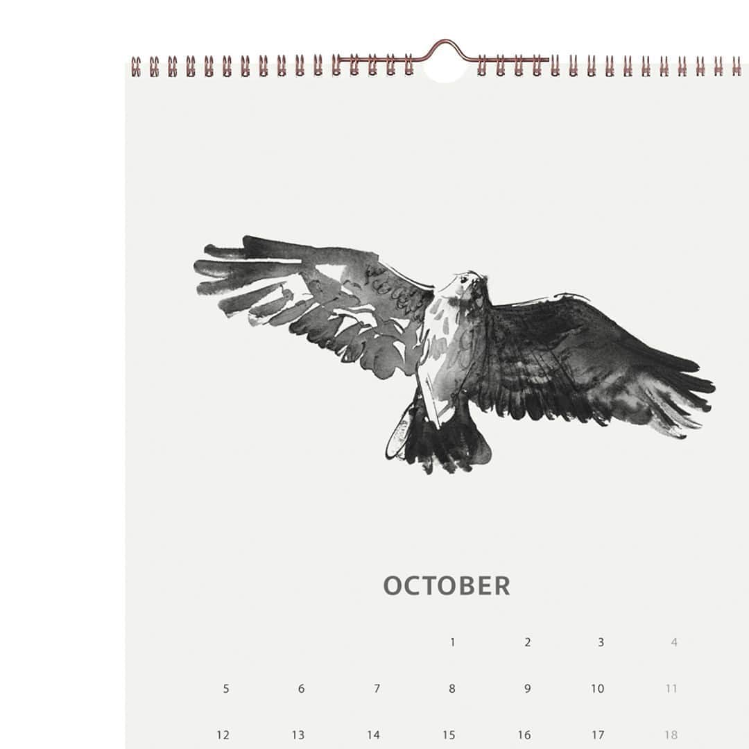 KOZLIFEさんのインスタグラム写真 - (KOZLIFEInstagram)「あっという間に10月です～ 今月のTeemu Jarvi(テームヤルヴィ)のカレンダーはノスリ。 カレンダーとして飾るのが終わったら、是非ポスターとして飾りたい素敵な1枚です♪ . -登場したアイテム- Teemu Jarvi/カレンダー Wilderness Stories 2020 . ◎商品は当店トップページのバナーorプロフィールのURLからどうぞ。 ▶︎ @kozlife_tokyo . #KOZLIFE #LoveFoodLoveLife #Interior #instahome #instagood #instajapan #october #teemujarvi #テームヤルヴィ #ポスター #壁面インテリア #暮らし #北欧 #北欧インテリア #北欧雑貨 #インテリア #丁寧な暮らし #シンプルライフ #カレンダー #2020 #今月のカレンダー #10月 #ノスリ」10月1日 9時01分 - kozlife_tokyo