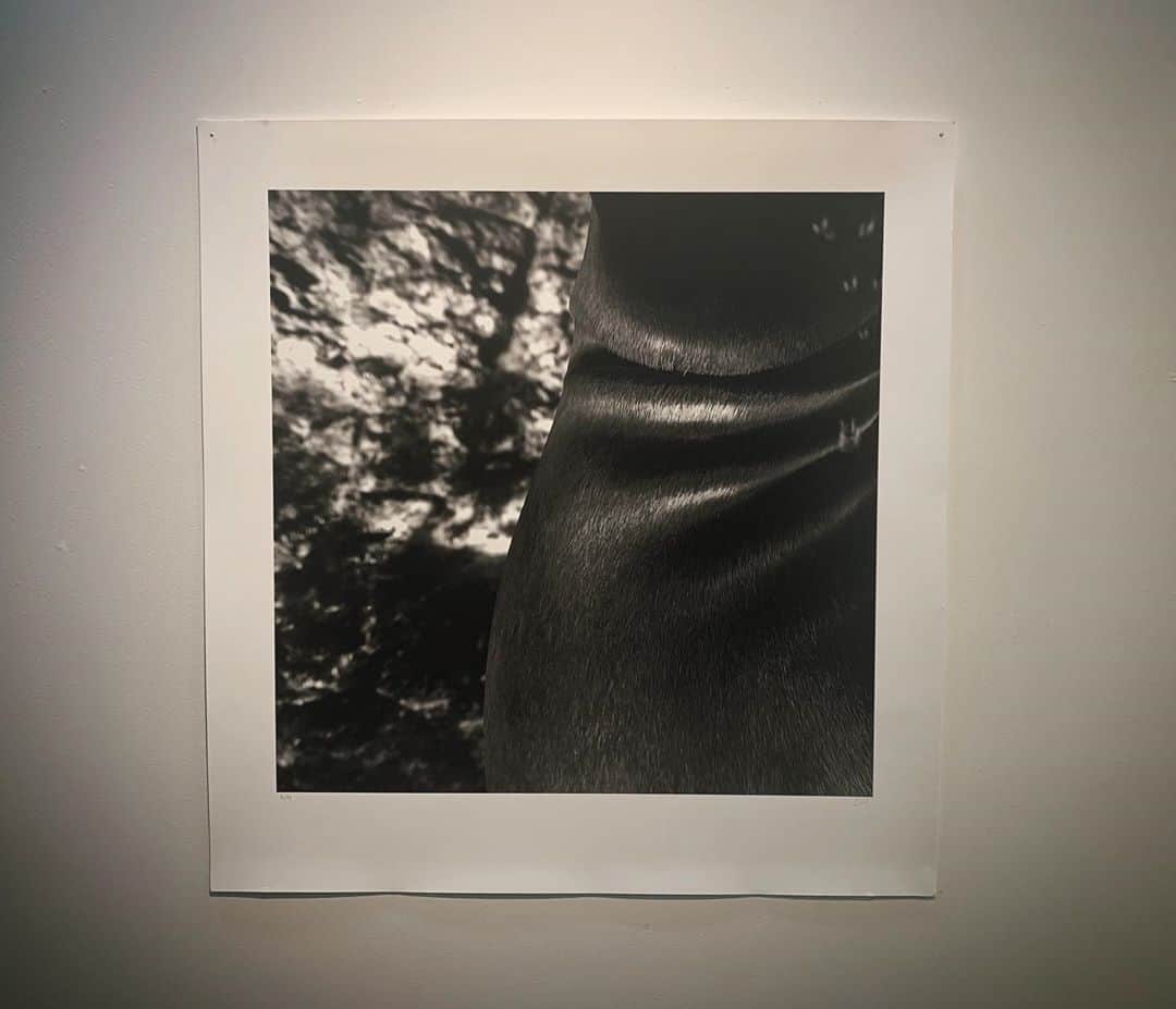 二木あいのグルメインスタ