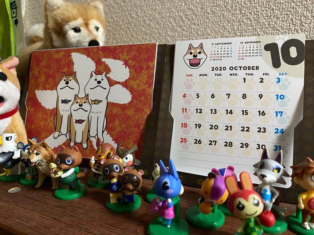 みずしな孝之のインスタグラム：「10月ですよ〜」