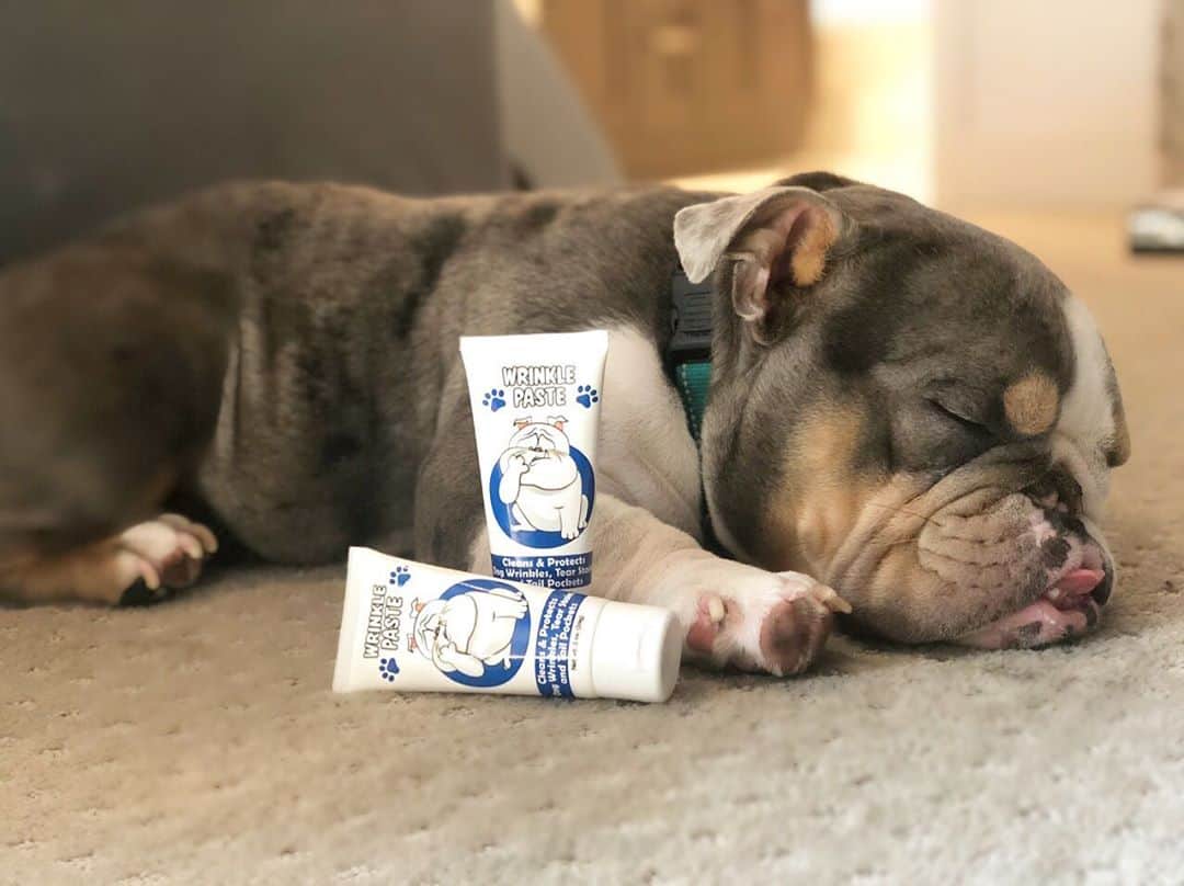 Bodhi & Butters & Bubbahのインスタグラム：「Want a face as cute and squishy as this one? Well, guess what?! We are teaming up with @wrinklepaste to #giveaway 3 bottles of wrinkle paste 😍😍😍 I swear by this stuff for keeping those high maintenance #bulldog wrinkles clean and #beautiful 💗  . . . To enter, make sure you’re following @bulldogstuff and @wrinklepaste (yes I will check!) and tag as many friends as you want!!! Each tag will count as one entry!  For ten additional entries share this post and tag both of us!!! The winner will be randomly selected next Wednesday - October 7th at 6pm PST 🌈🥰🐶 open to US residents only . . . . #dogsofinstagram #dog #mom #life #puppylove #puppy #love #cute #baby #boy #win #contest #dream #wednesday #positivevibes #smile #sleep #morning #wakeup #beautiful #mydogeatsbetterthanme #healthylifestyle」