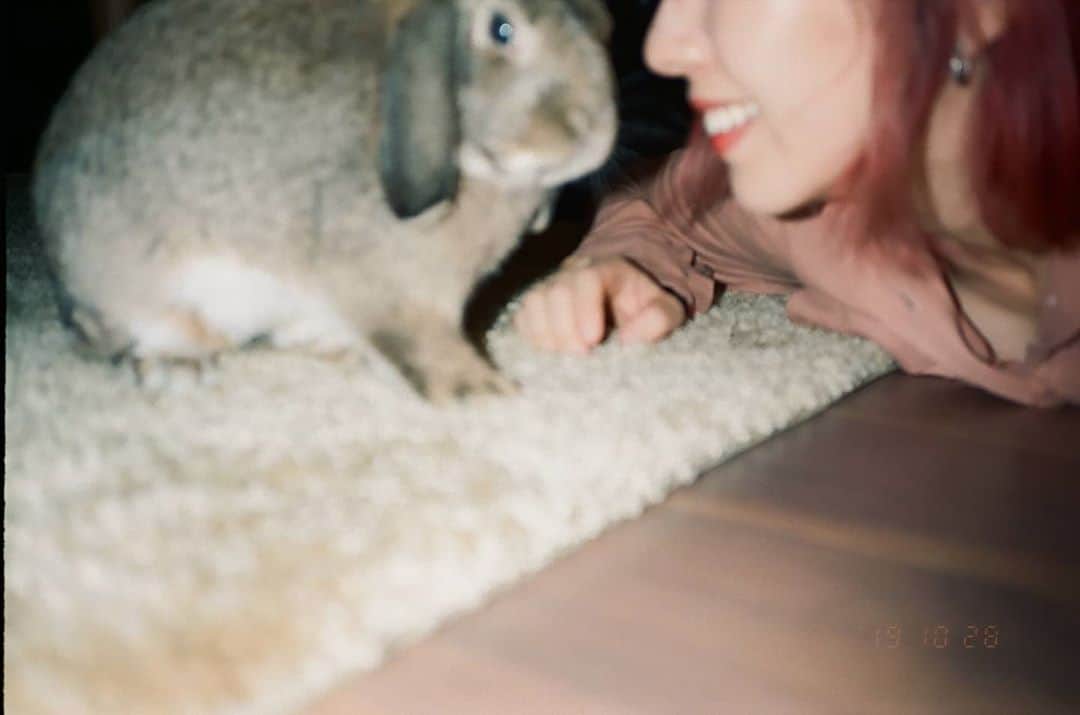 貴愛kwiae Officialのインスタグラム：「神無月🌕🐰 * * * フィードに登場していなかったうちのうさぎ。 まだ月で餅つきするのは早いんだそう。🎑 * 9月はなんだったの？一瞬なの？今月は28まで頑張るからよろしく。 * * * Streaming Live ▹▸﻿10.17 #10月 #october #神無月 #神在月 #残り3ヶ月 #2020 #2020aw #🐰 #うさぎのいる暮らし #filmcamera #belamiaf」