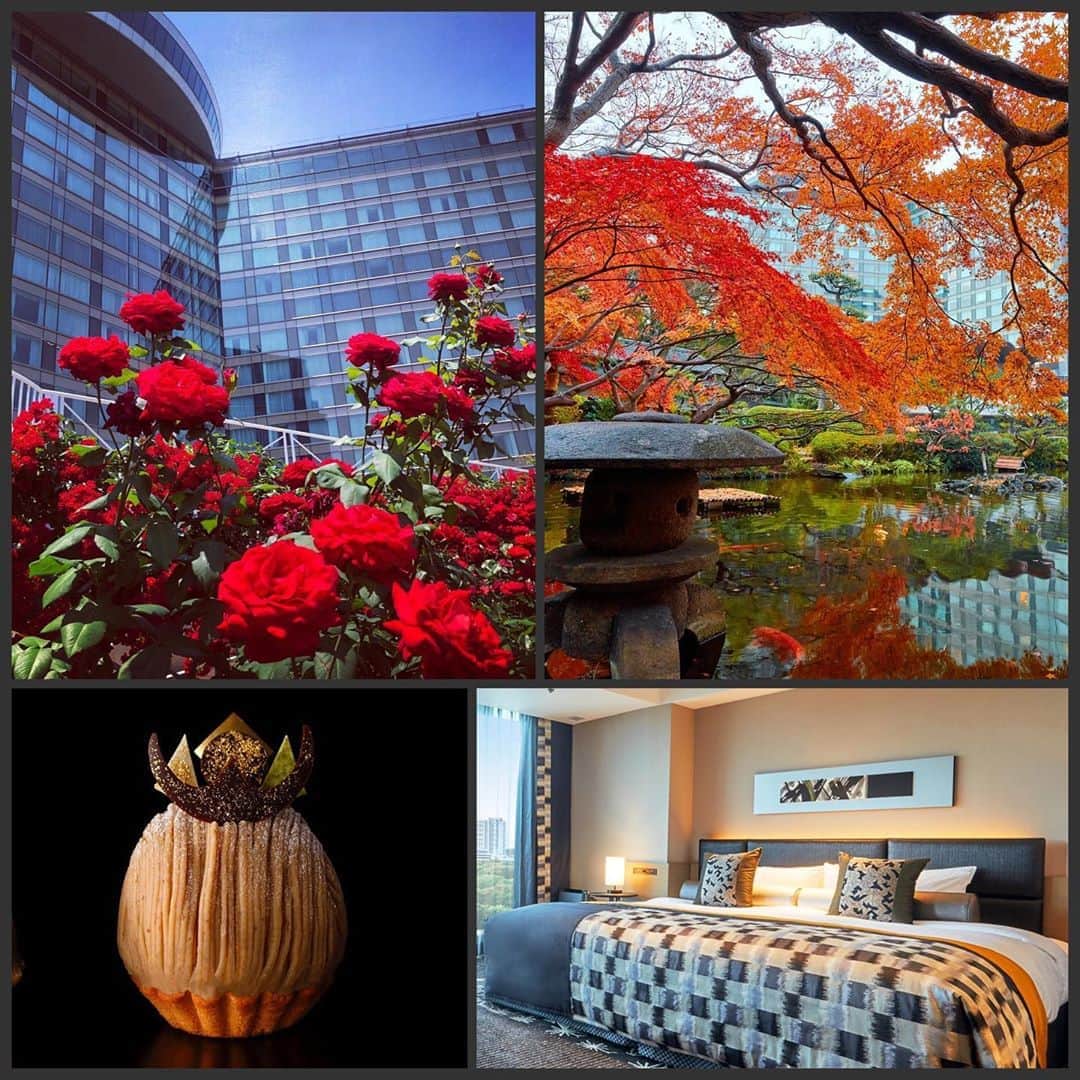 ホテル ニューオータニさんのインスタグラム写真 - (ホテル ニューオータニInstagram)「本日より「Go To トラベルキャンペーン」東京が対象となります！ ﻿ ホテルニューオータニは「Go To トラベルキャンペーン」に参画し、あらゆるニーズにお応えする宿泊プランをご用意して、皆さまのお越しをお待ちしております。﻿  ◇@hotelnewotanitokyo プロフィールのURLより、特設ページに飛ぶことができます。 ﻿ 秋バラが咲き誇る #レッドローズガーデン に、紅葉の #日本庭園、秋スイーツの定番 #スーパーモンブラン など、ホテルニューオータニの秋は見どころが盛り沢山です🍁✨﻿ ﻿ We are delighted to share with you that “Go To Travel Campaign” can be applied at @hotelnewotanitokyo for Japanese residents!﻿」10月1日 1時26分 - hotelnewotanitokyo
