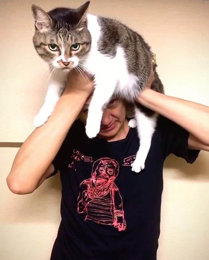 イマイアキノブのインスタグラム：「🍒COOLなT-SHIRTだろ 深夜に一発御見舞いしてやるぜ  @kungfugeorge  https://kungfugeorge.thebase.in/  #imaiakinobu  #イマイアキノブ」