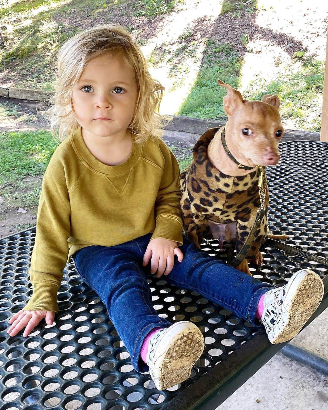 Tuna {breed:chiweenie} さんのインスタグラム写真 - (Tuna {breed:chiweenie} Instagram)「I call this series “Time out on the Table (at the park)” because these two defiantly kept running in the opposite direction, away from their mom (me), who repeatedly asked them to please turn around and come back. Apparently neither of them were in a listening mood today so they needed to take a little break to remember why it’s important to listen to your mother. 🤣」10月1日 2時13分 - tunameltsmyheart