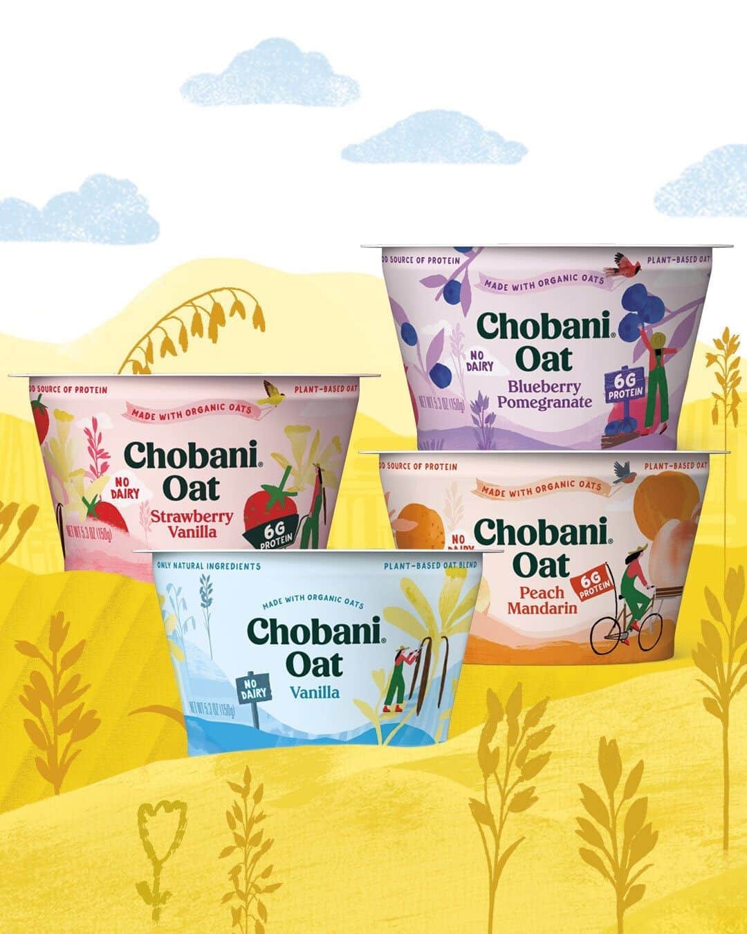 Chobaniのインスタグラム：「From the field to your fridge, each wholesome, creamy cup of organic Chobani Oat blend contains billions of healthful probiotics and 3g of plant-based protein. Vanilla, Strawberry Vanilla, Peach Mandarin, or Blueberry Pomegranate, what’s your pick?」