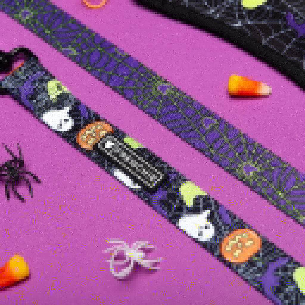 Regeneratti&Oliveira Kennelのインスタグラム：「Trick or Treat yo’self to @frenchie_bulldog  NEW collection! The ghoulish print comes as a matching set and will sell out faster than you can say BOO 👻🎃 @vincenzopepito & @frenchieleo  . . SHOP the spookiest pattern only at www.frenchie.com 🎁 Get 10% off  with code jmarcoz10 💜 . . #frenchiepetsupply  .  . . . . . #frenchie #frenchies  #französischebulldogge #frenchbulldog #frenchbulldogs  #dog #dogsofinstagram #frenchies1 #bully #bulldog #bulldogfrances #フレンチブルドッグ #フレンチブルドッグ #フレブル #ワンコ #frenchiesgram #frenchbulldogsofinstagram #ilovemyfrenchie #batpig #buhi #squishyfacecrewbulldog」