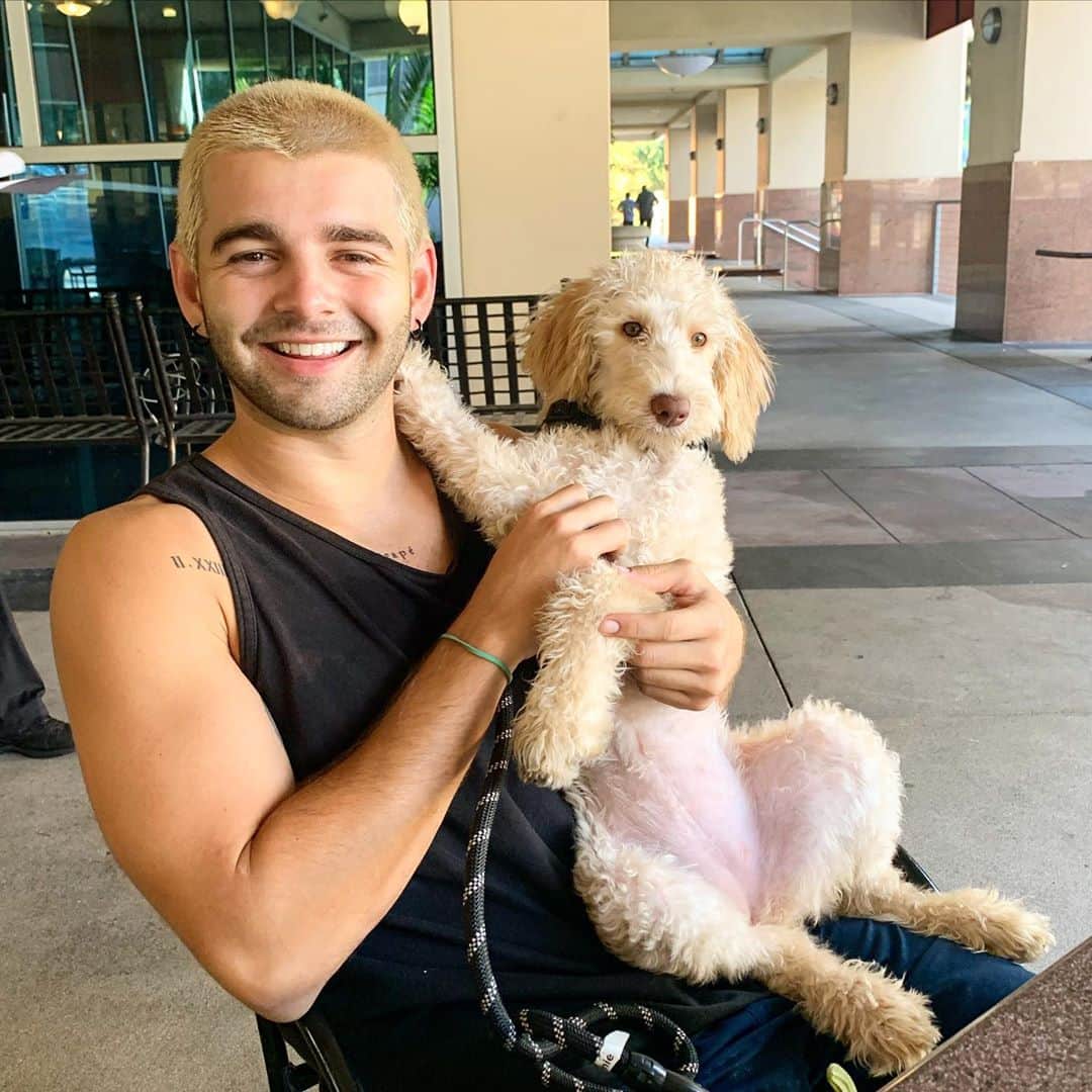ジャック・グリフォーのインスタグラム：「Don’t tell my dogs」
