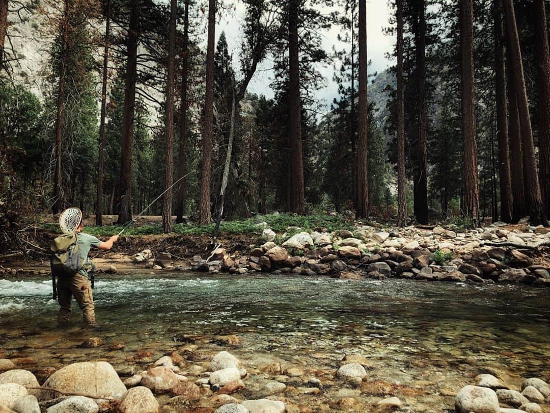 ジョシュ・スチュワートのインスタグラム：「Wildfires are devastating to our rivers and streams. Fires can raise the water temperature, negatively change the water chemistry and increase runoff and erosion. All have devastating affects to the native wildlife and fish. If you’re a fisherman or just enjoy time by the river, click the link in my bio to help restore our @nationalforests that have been so affected by these fires. Every dollar helps. Photo from my wife @alexakdavalos   #onlyou  #unfailinggoods  #onelife #fishitwell」