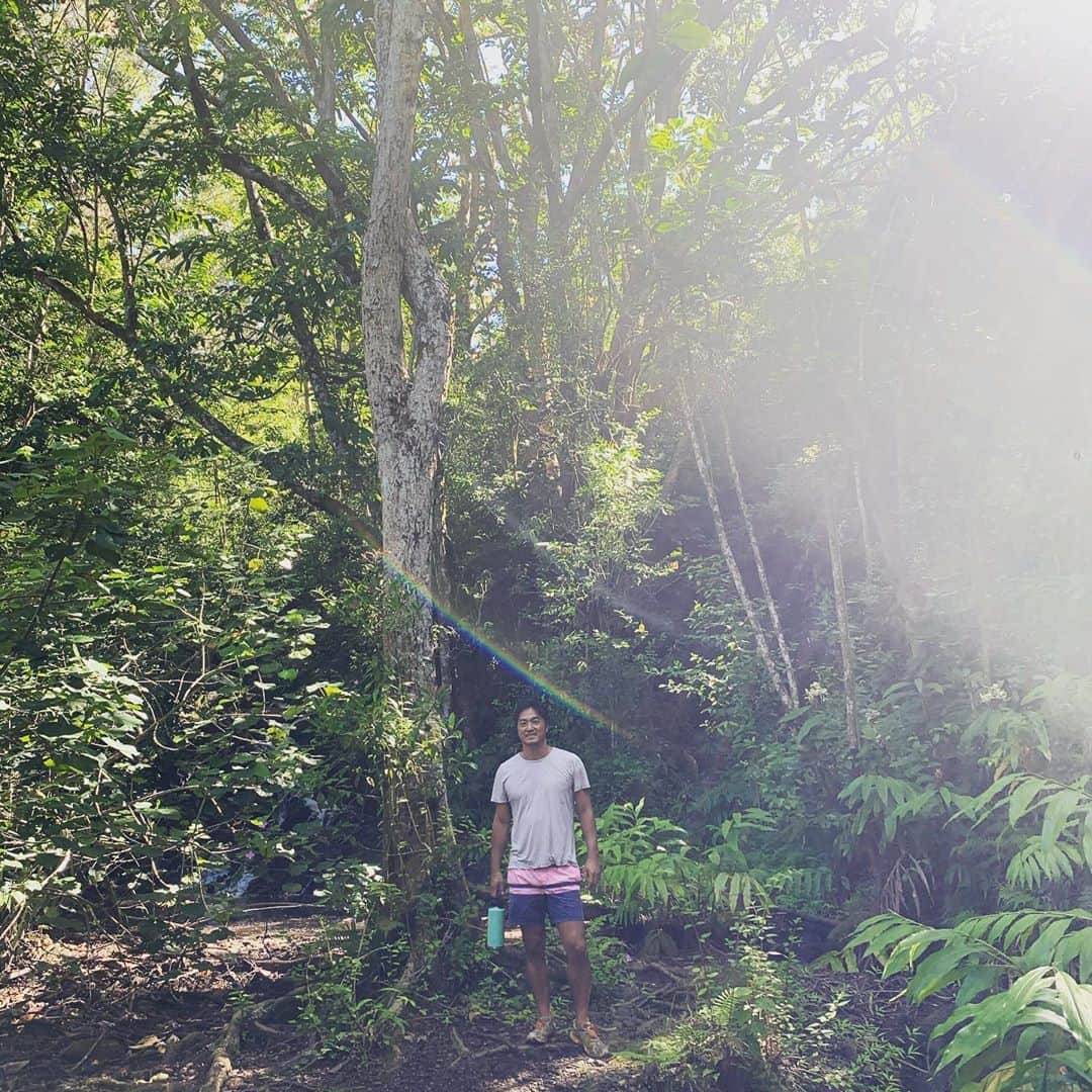 平岳大のインスタグラム：「Lost in jungle #hawaii #trail #korningwalk」