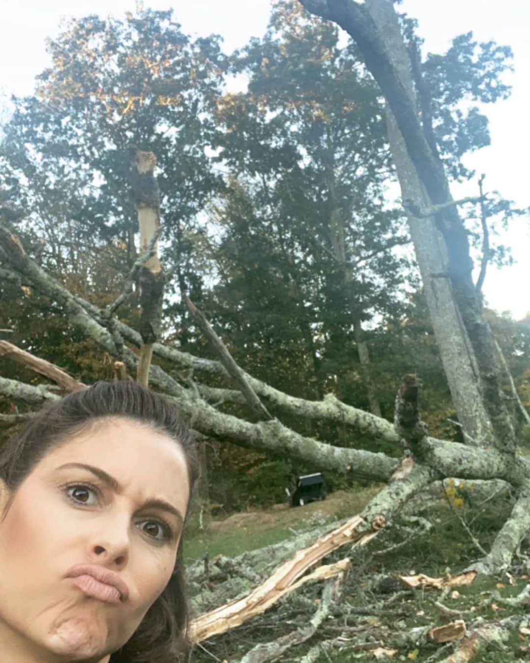 マリア・メノウノスさんのインスタグラム写真 - (マリア・メノウノスInstagram)「Another tree down here .... 🤪 luckily power has been restored! Should I break out the power saw? Hmmmm....」10月1日 7時12分 - mariamenounos